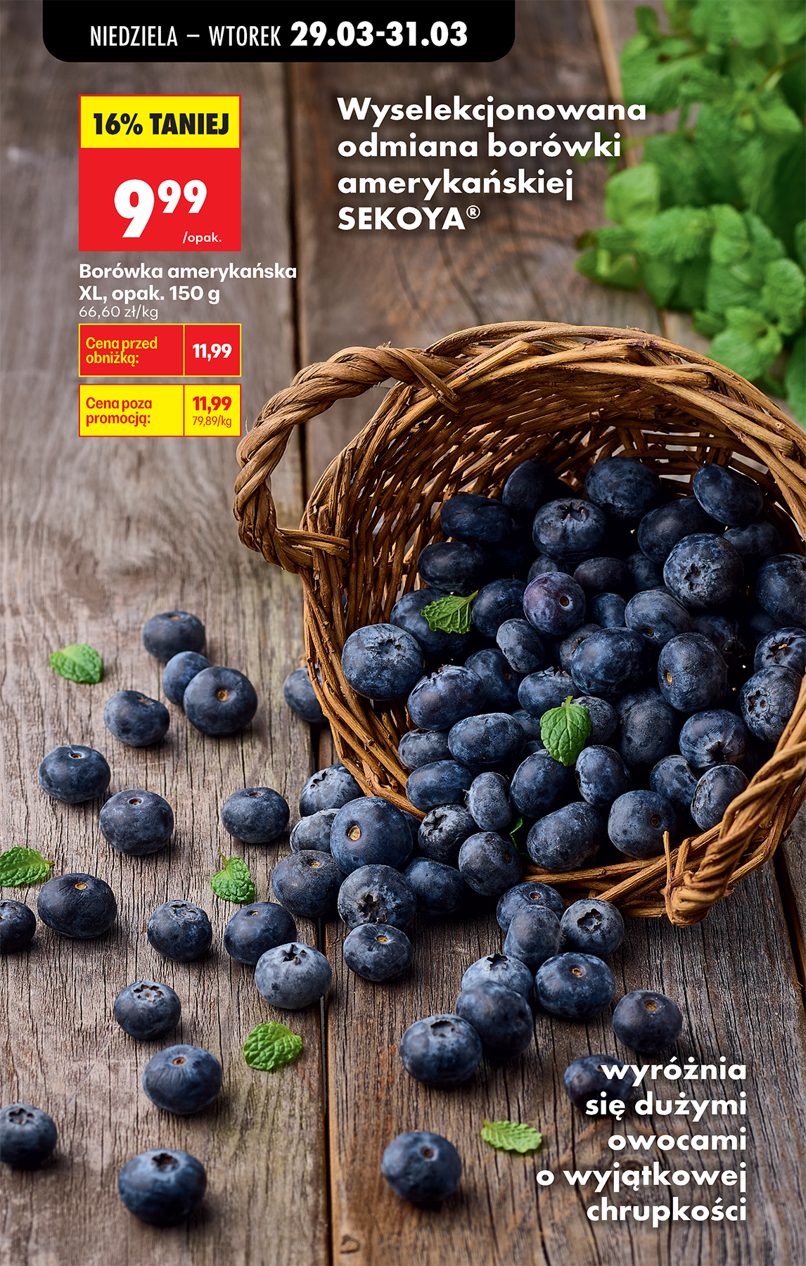 biedronka - Biedronka leták platný od neděle 29.03.2026 do soboty 04.04.2026 - page: 97