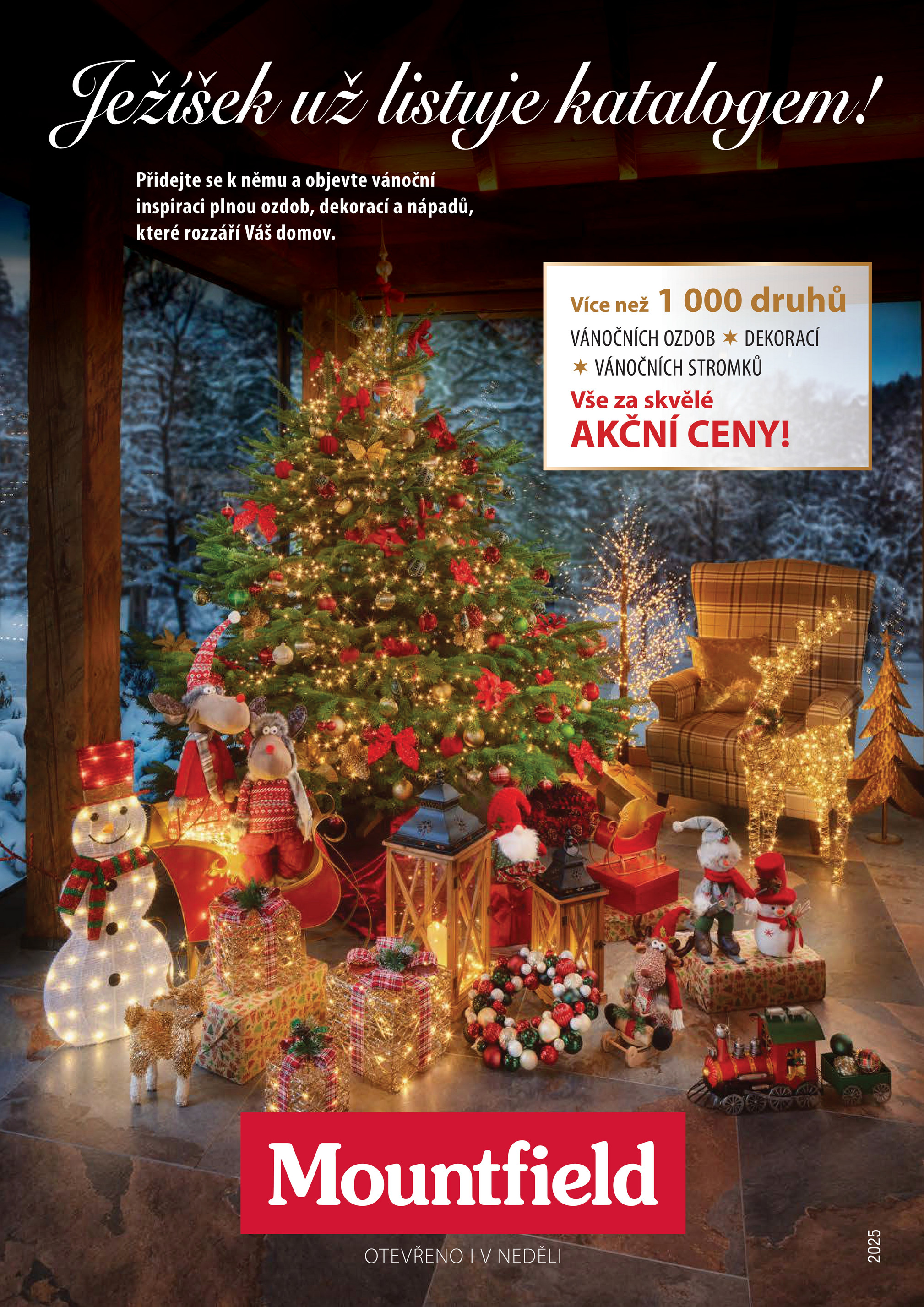 mountfield - Aktuální leták Mountfield - Vánoce od 01.01. do 31.01.