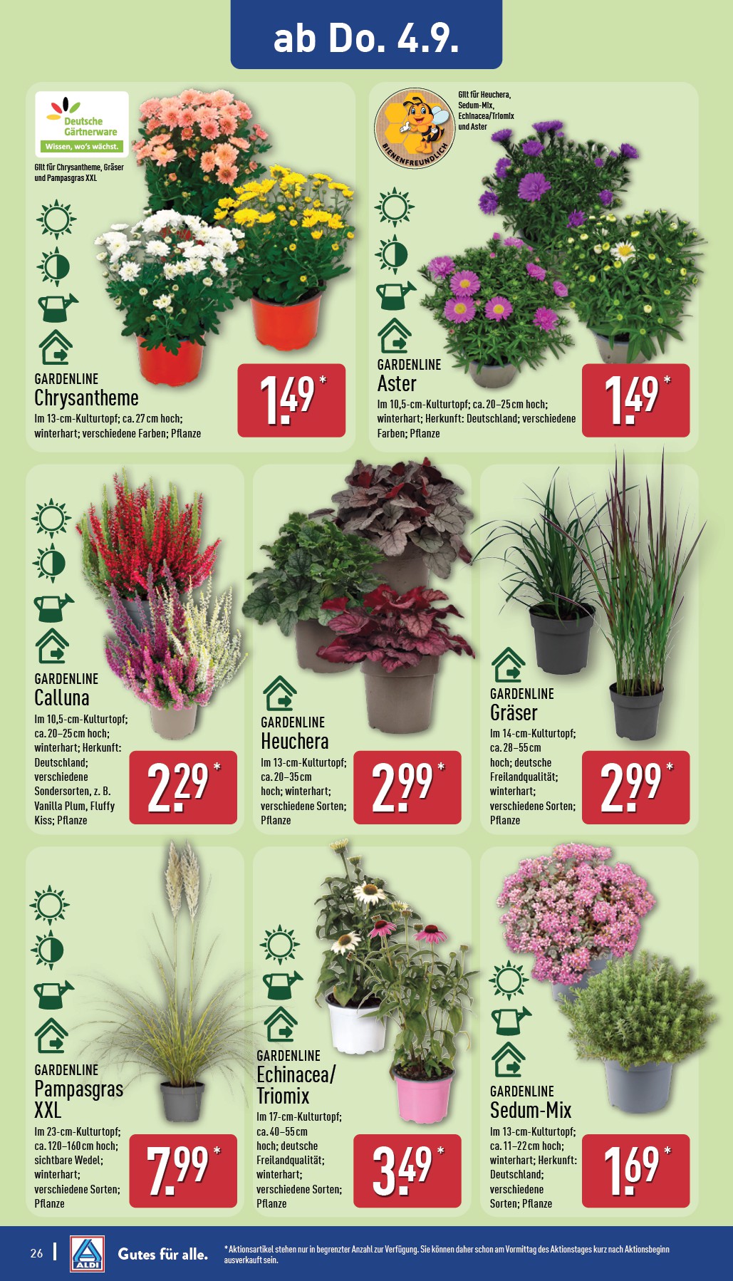 aldi-nord - ALDI NORD-Prospekt gültig vom 01.09. bis 06.09. - page: 26