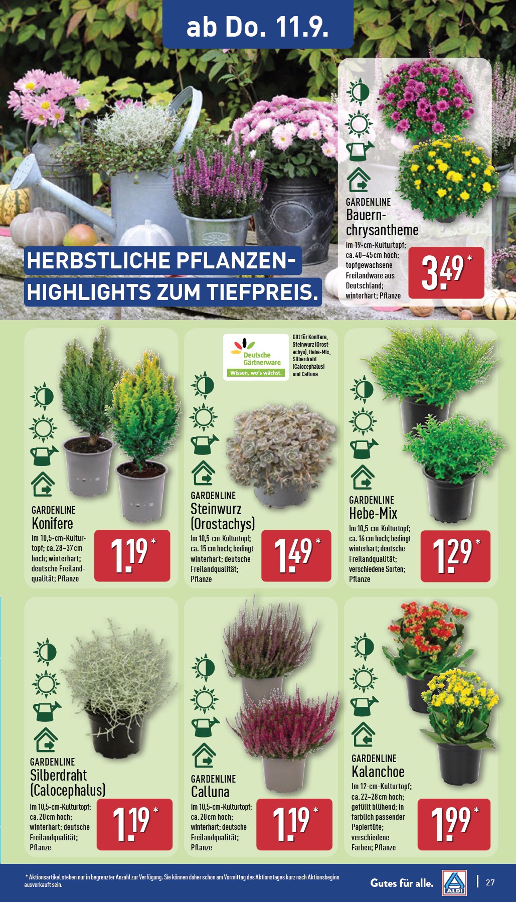 aldi-nord - ALDI NORD-Prospekt gültig vom 08.09. bis 13.09. - page: 31