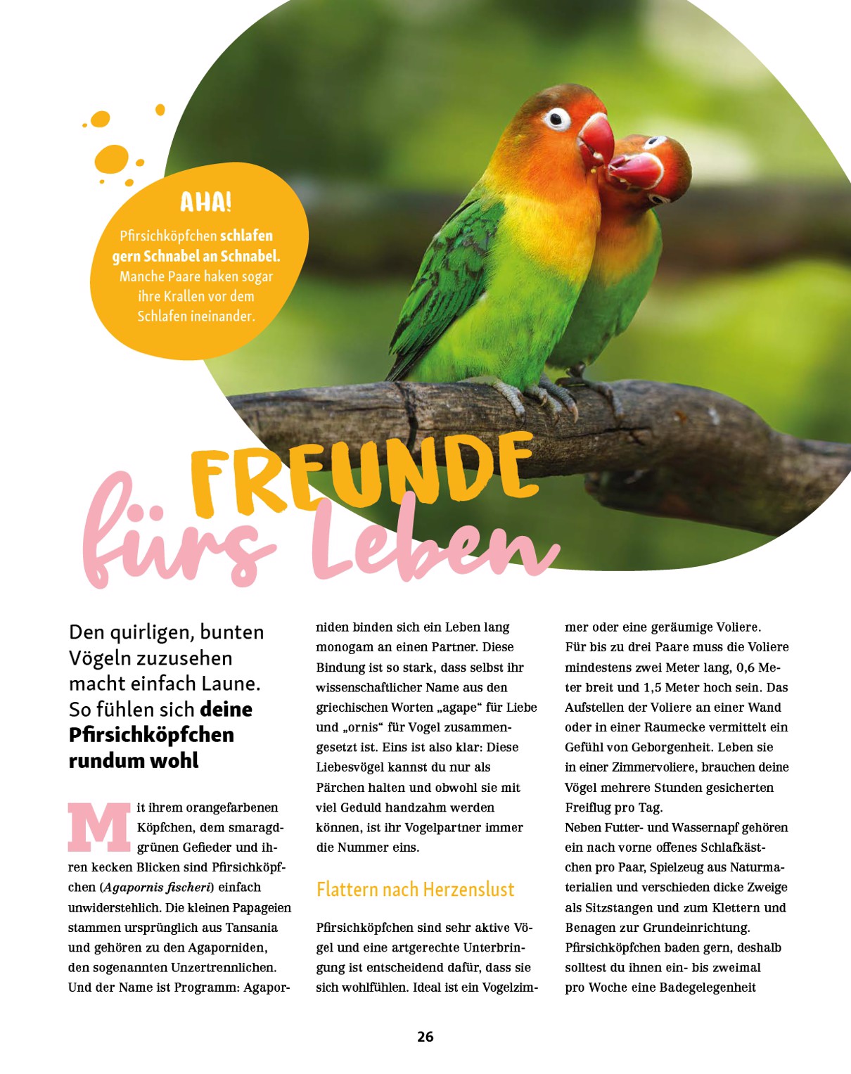 fressnapf - Fressnapf - Friends Magazin-Prospekt gültig vom 01.09. bis 31.10. - page: 26