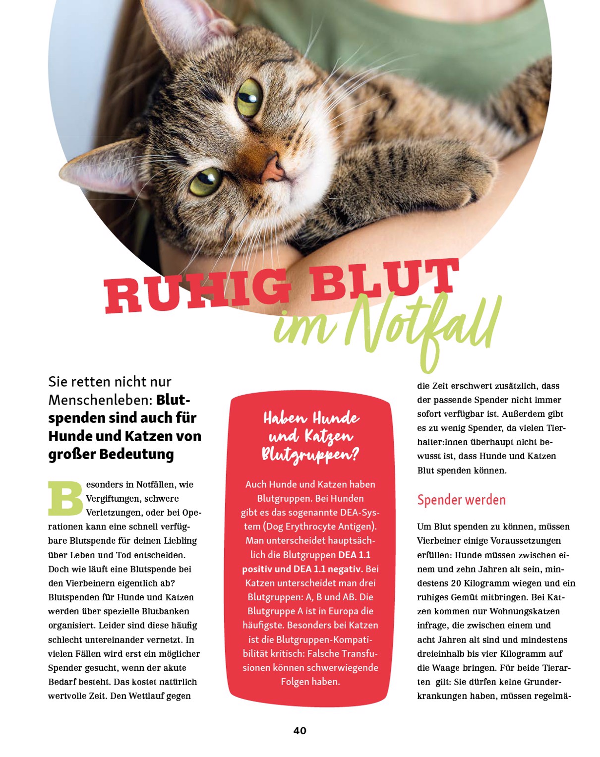 fressnapf - Fressnapf - Friends Magazin-Prospekt gültig vom 01.09. bis 31.10. - page: 40