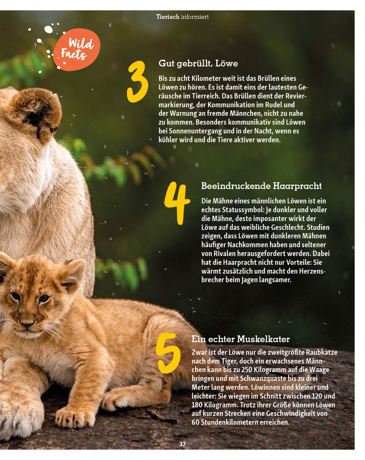 fressnapf - Fressnapf - Friends Magazin-Prospekt gültig vom 01.09. bis 31.10. - page: 37