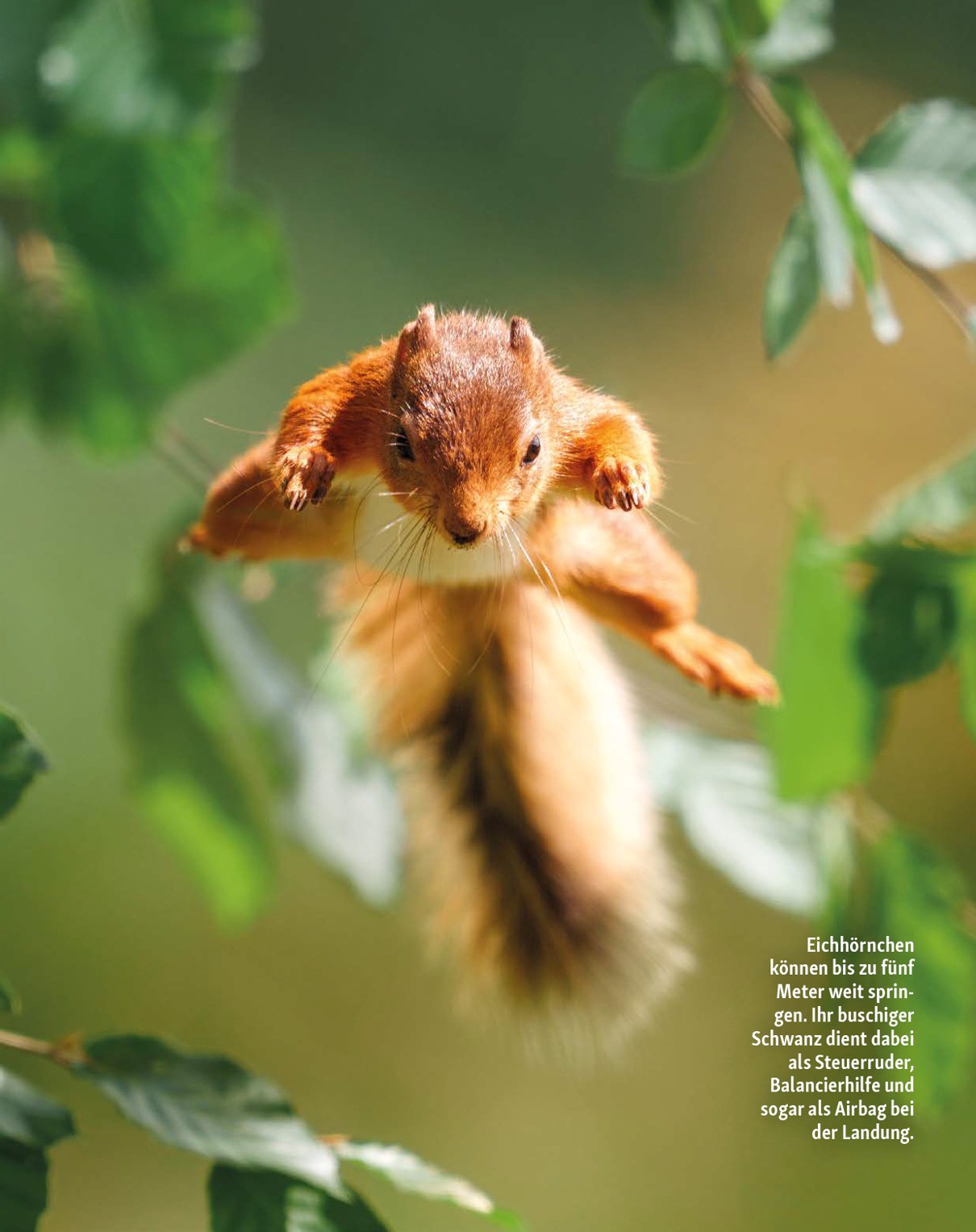 fressnapf - Fressnapf - Friends Magazin-Prospekt gültig vom 01.09. bis 31.10. - page: 12