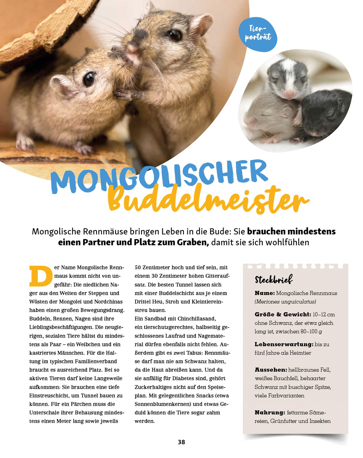 fressnapf - Fressnapf - Friends Magazin-Prospekt gültig vom 01.09. bis 31.10. - page: 38