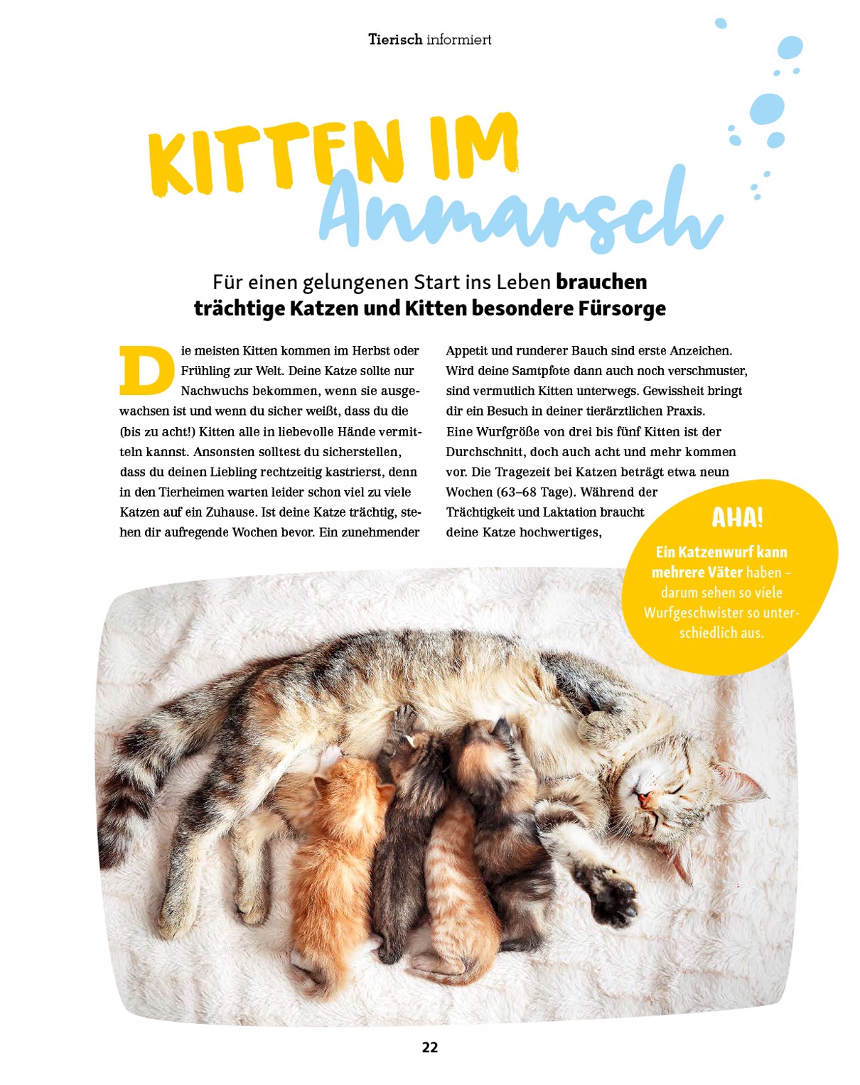fressnapf - Fressnapf - Friends Magazin-Prospekt gültig vom 01.09. bis 31.10. - page: 22
