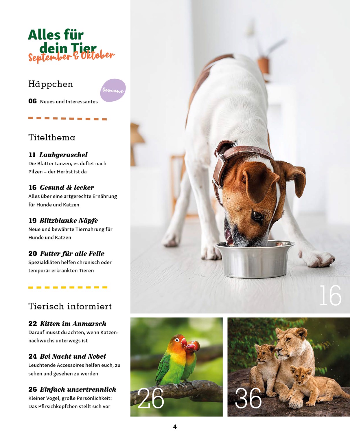 fressnapf - Fressnapf - Friends Magazin-Prospekt gültig vom 01.09. bis 31.10. - page: 4