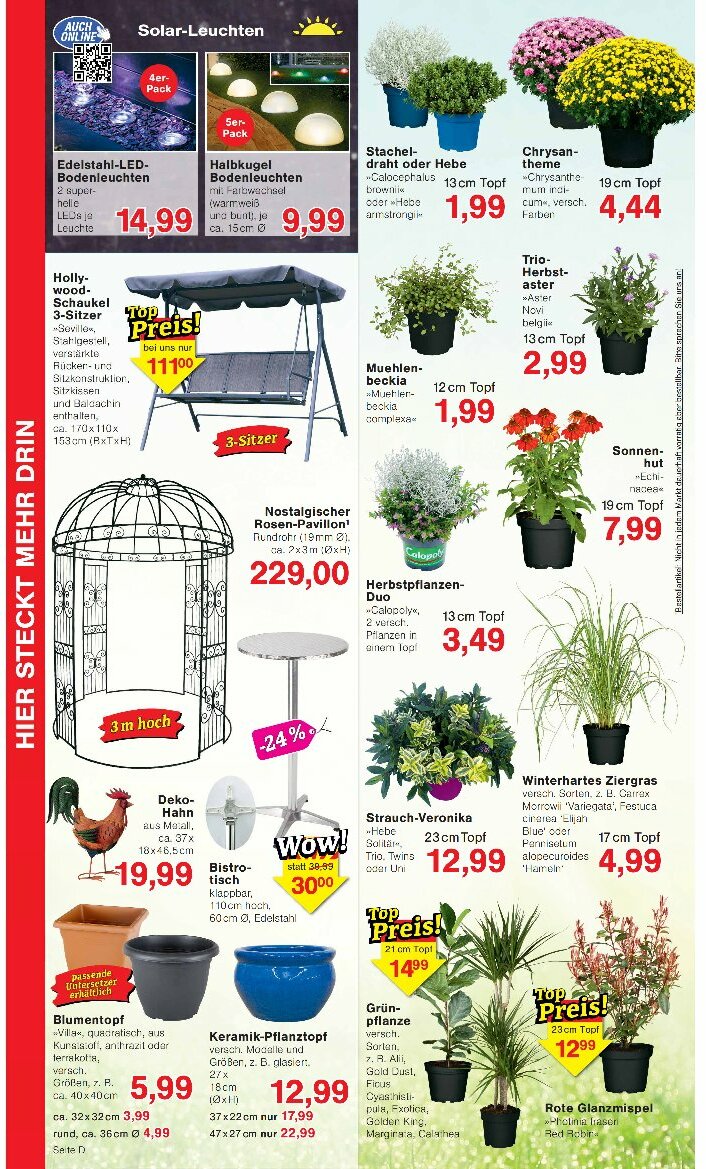 jawoll - Jawoll-Prospekt gültig vom 11.08. bis 16.08. - page: 8