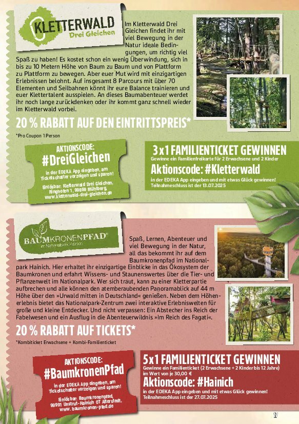 marktkauf - Marktkauf-Prospekt gültig vom 11.08. bis 16.08. - page: 61