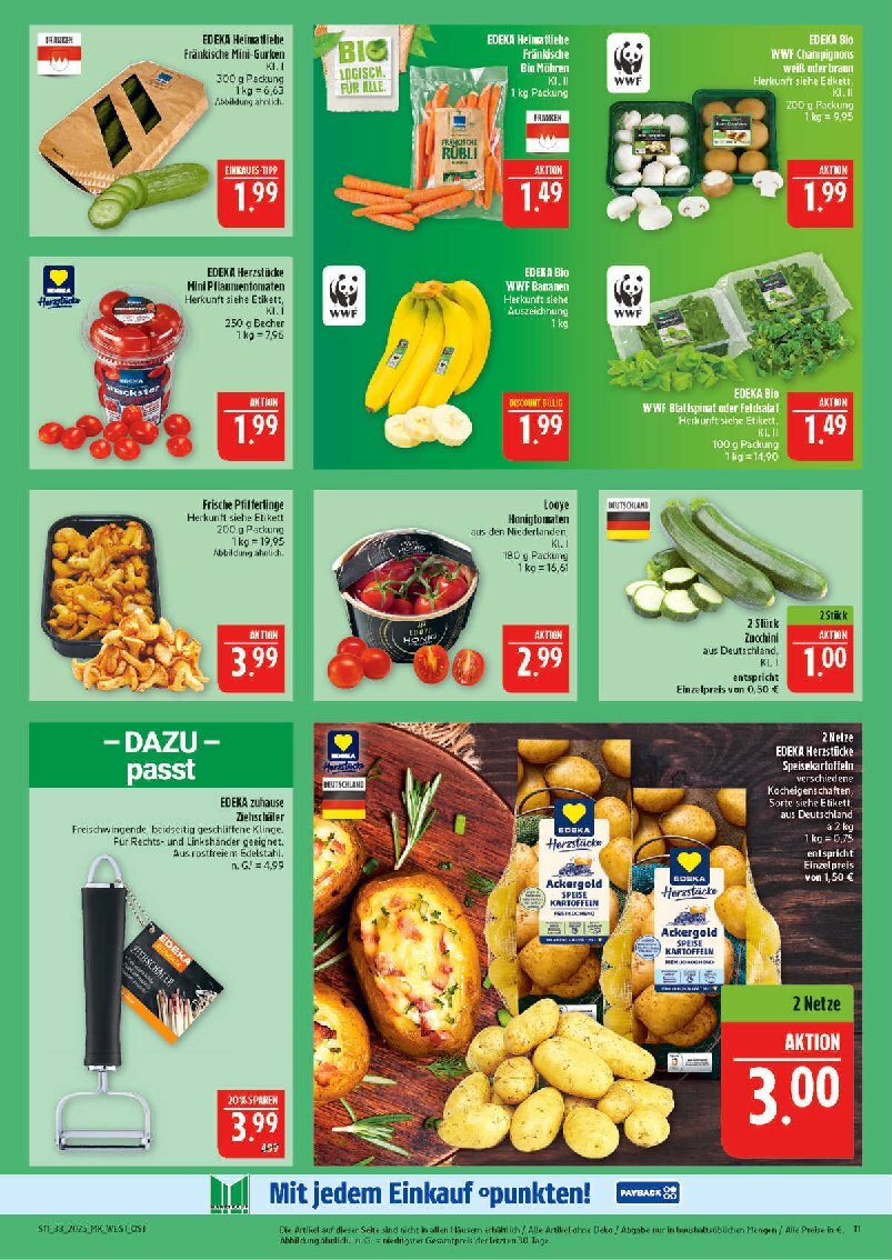 marktkauf - Marktkauf-Prospekt gültig vom 11.08. bis 16.08. - page: 11