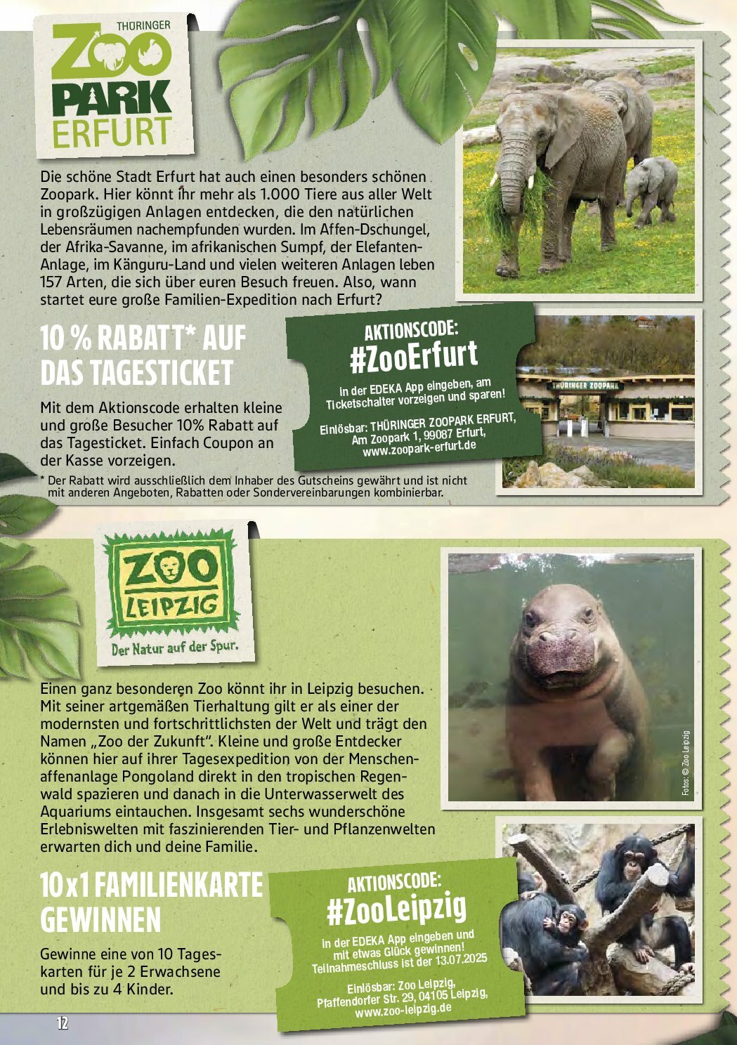 marktkauf - Marktkauf-Prospekt gültig vom 18.08. bis 23.08. - page: 56