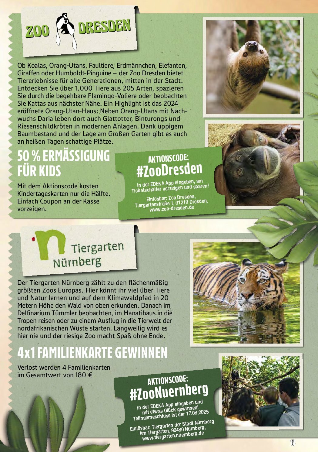 marktkauf - Marktkauf-Prospekt gültig vom 18.08. bis 23.08. - page: 57