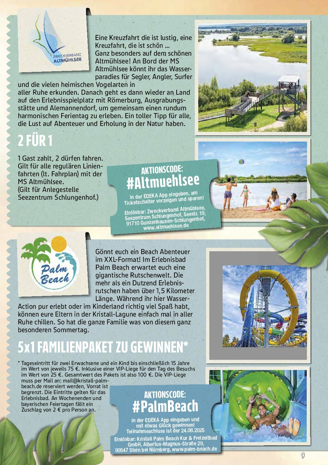 marktkauf - Marktkauf-Prospekt gültig vom 25.08. bis 30.08. - page: 53