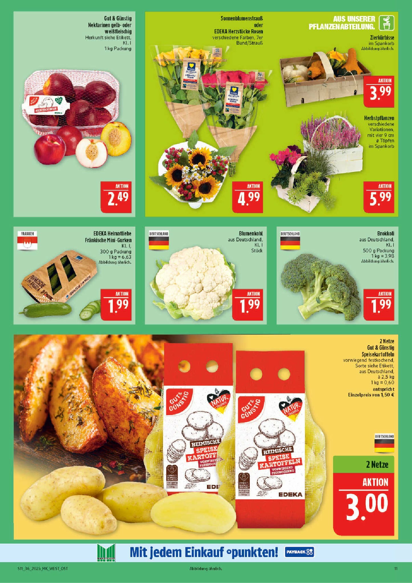 marktkauf - Marktkauf-Prospekt gültig vom 01.09. bis 06.09. - page: 11