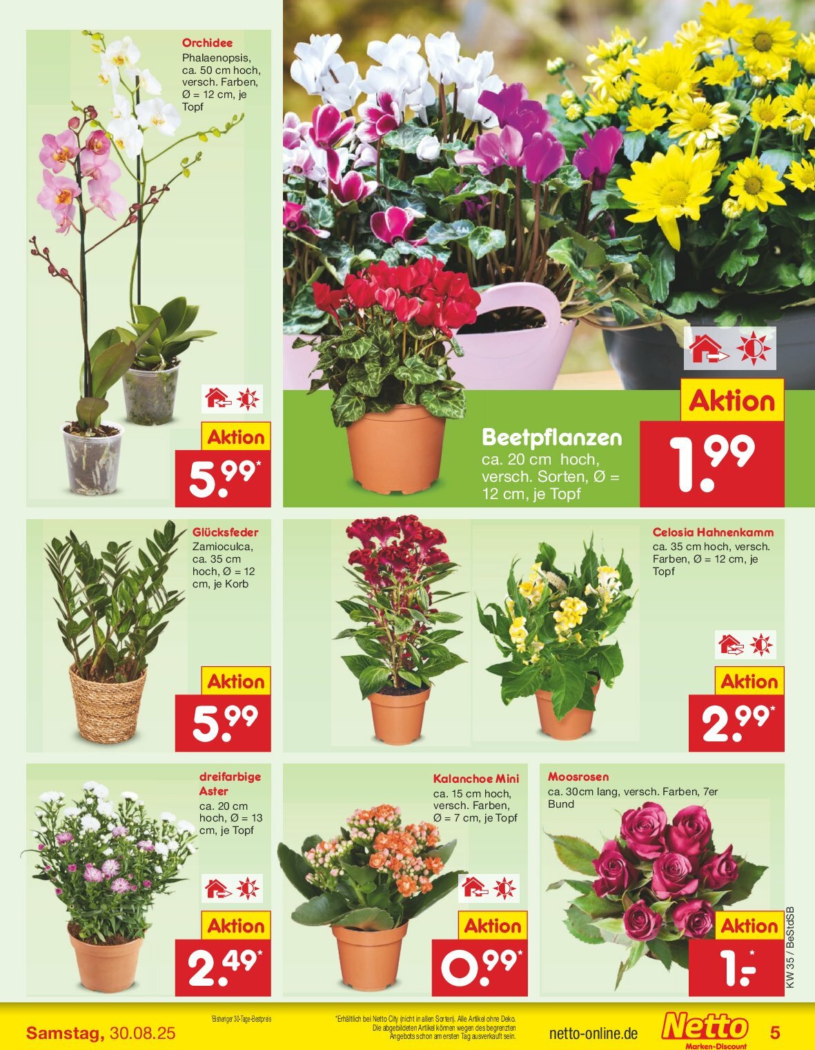 netto-marken-discount - Netto Marken Discount-Prospekt gültig vom 25.08. bis 30.08. - page: 5