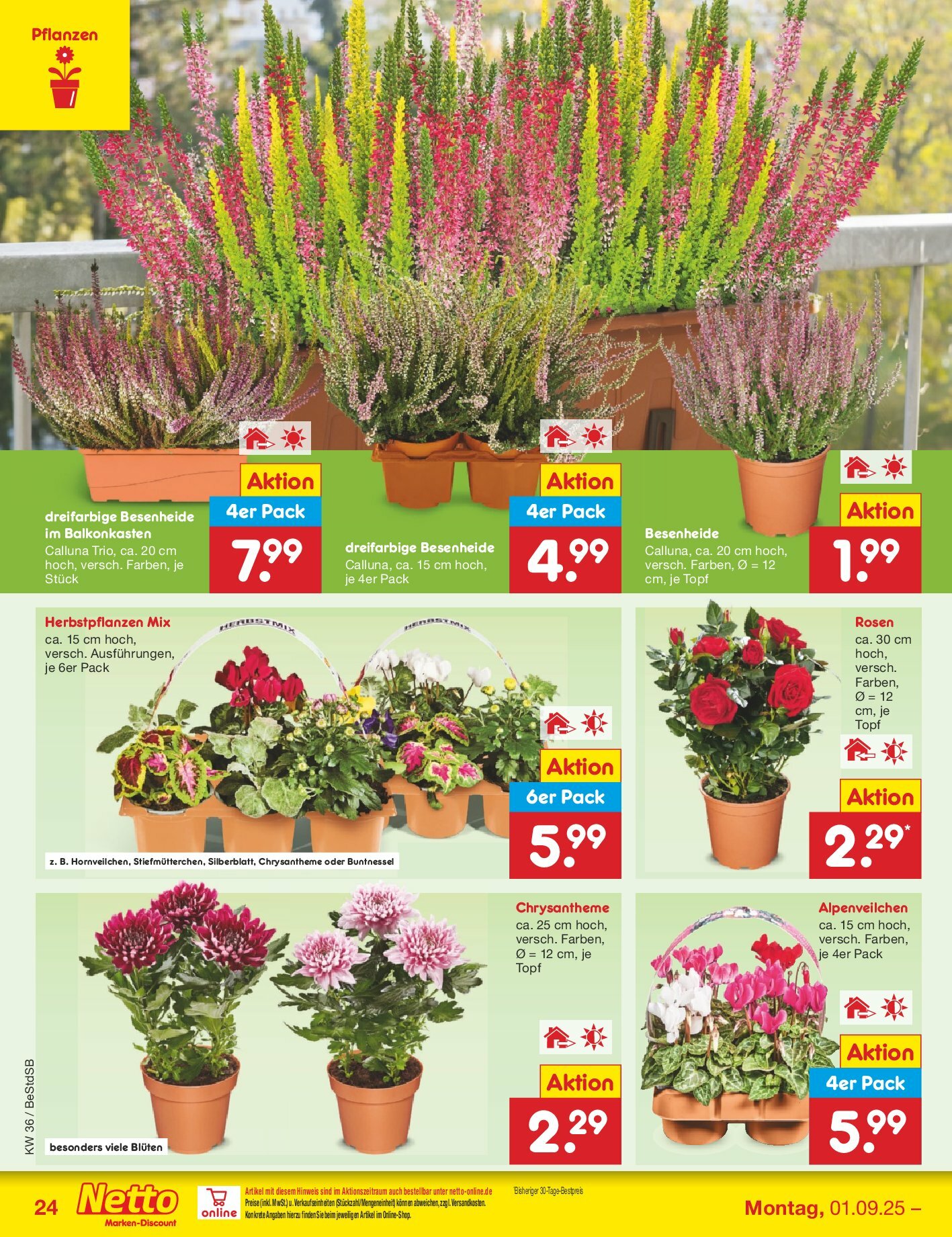 netto-marken-discount - Netto Marken Discount-Prospekt gültig vom 01.09. bis 06.09. - page: 34