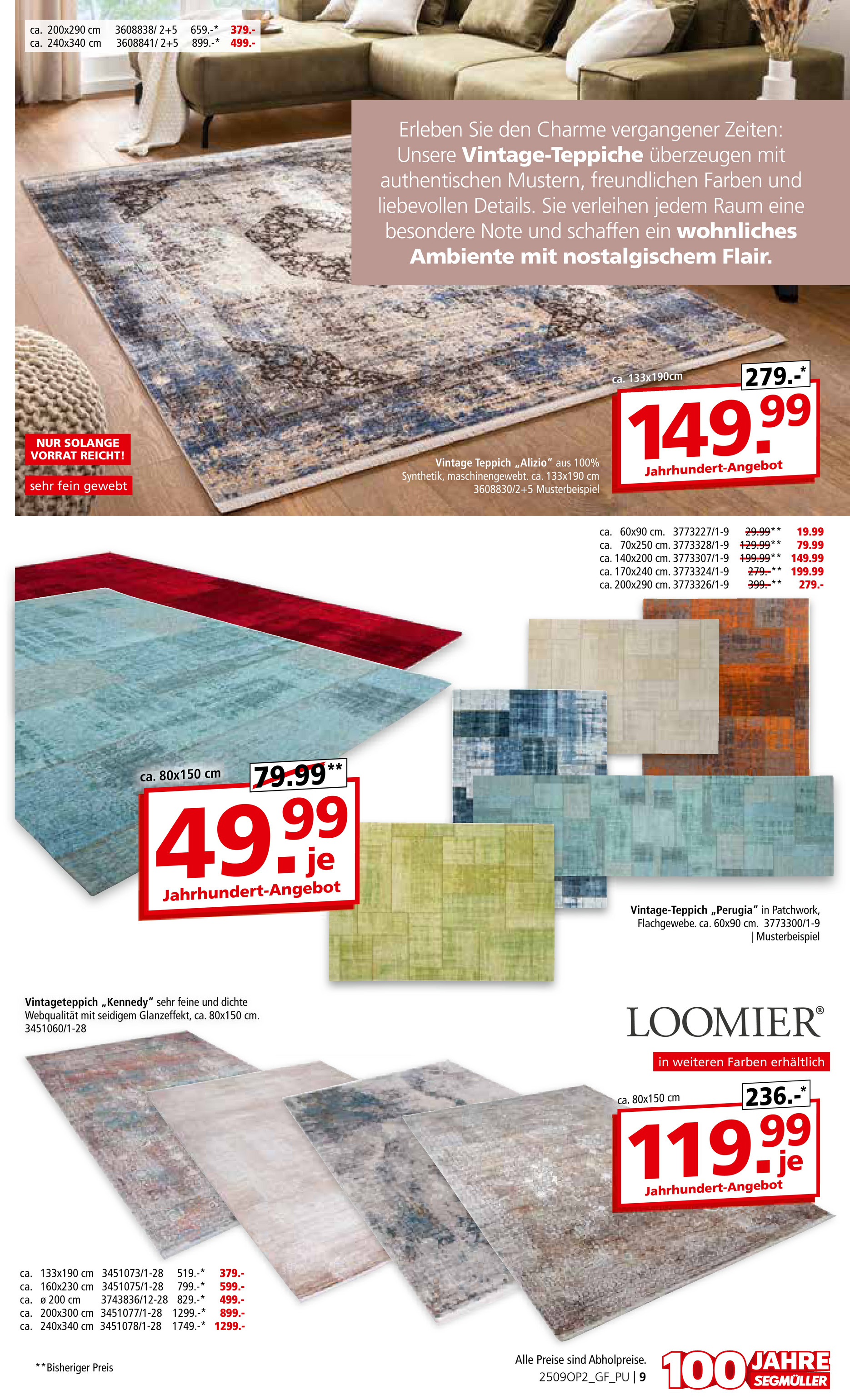 segmueller - SEGMÜLLER - Teppich Spezial-Prospekt gültig vom 01.09. bis 30.11. - page: 9