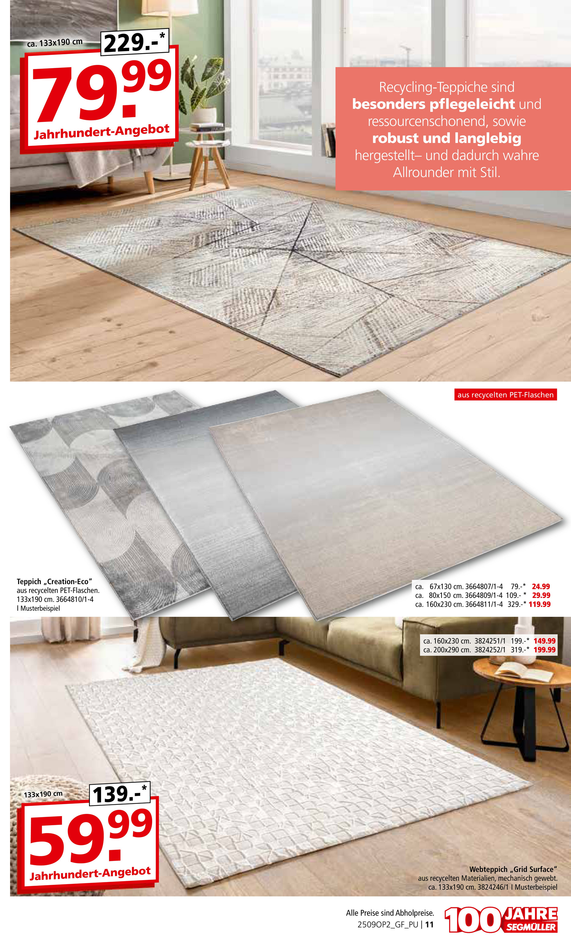 segmueller - SEGMÜLLER - Teppich Spezial-Prospekt gültig vom 01.09. bis 30.11. - page: 11