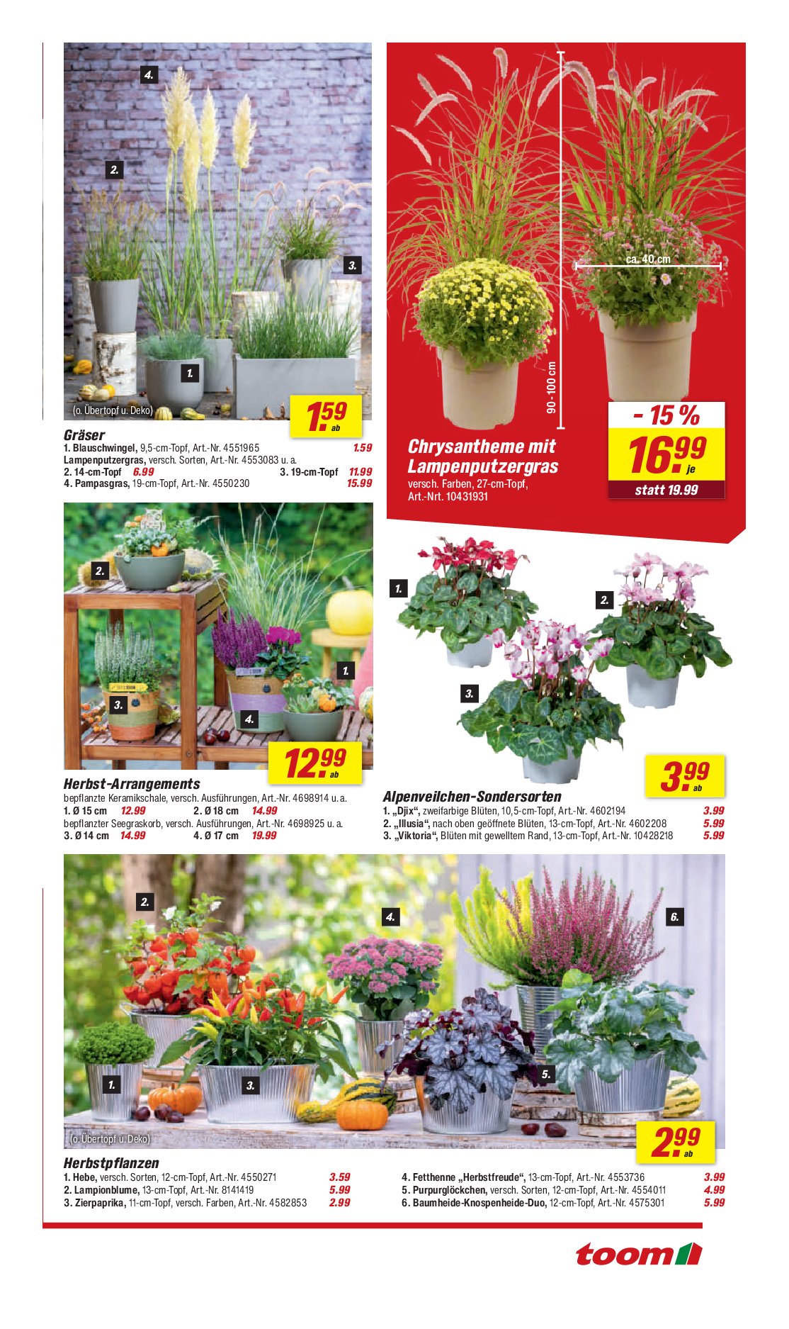 toom - Toom-Prospekt gültig vom 06.09. bis 12.09. - page: 5