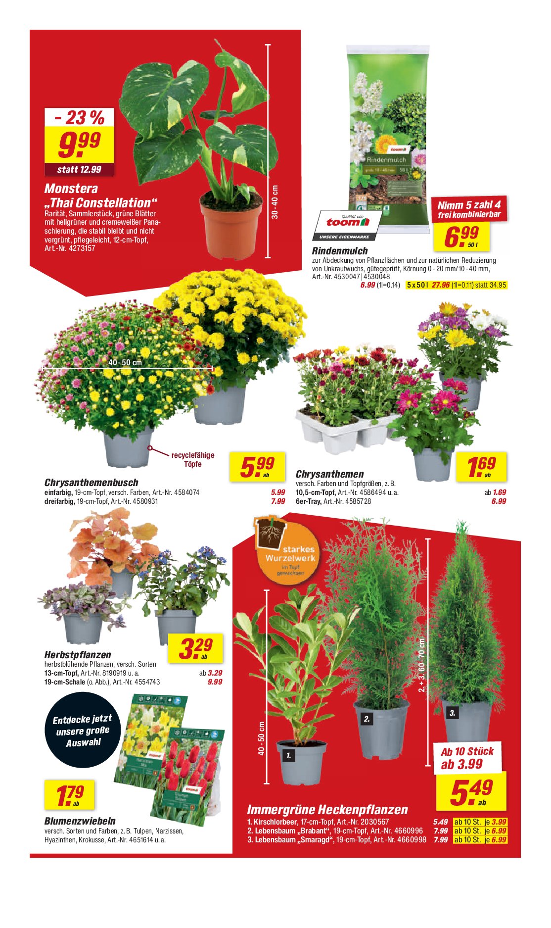 toom - Toom-Prospekt gültig vom 06.09. bis 12.09. - page: 6