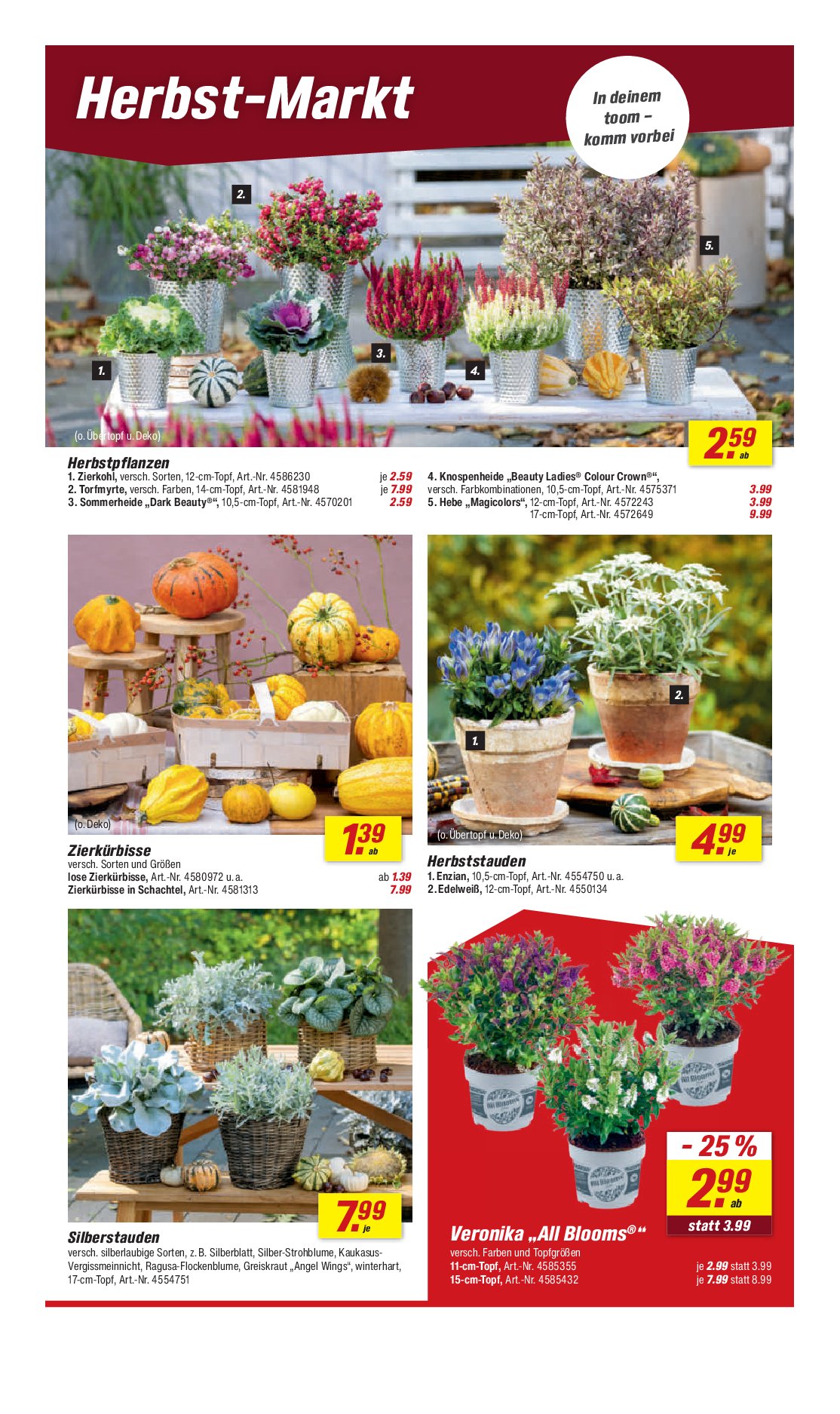 toom - Toom-Prospekt gültig vom 06.09. bis 12.09. - page: 4