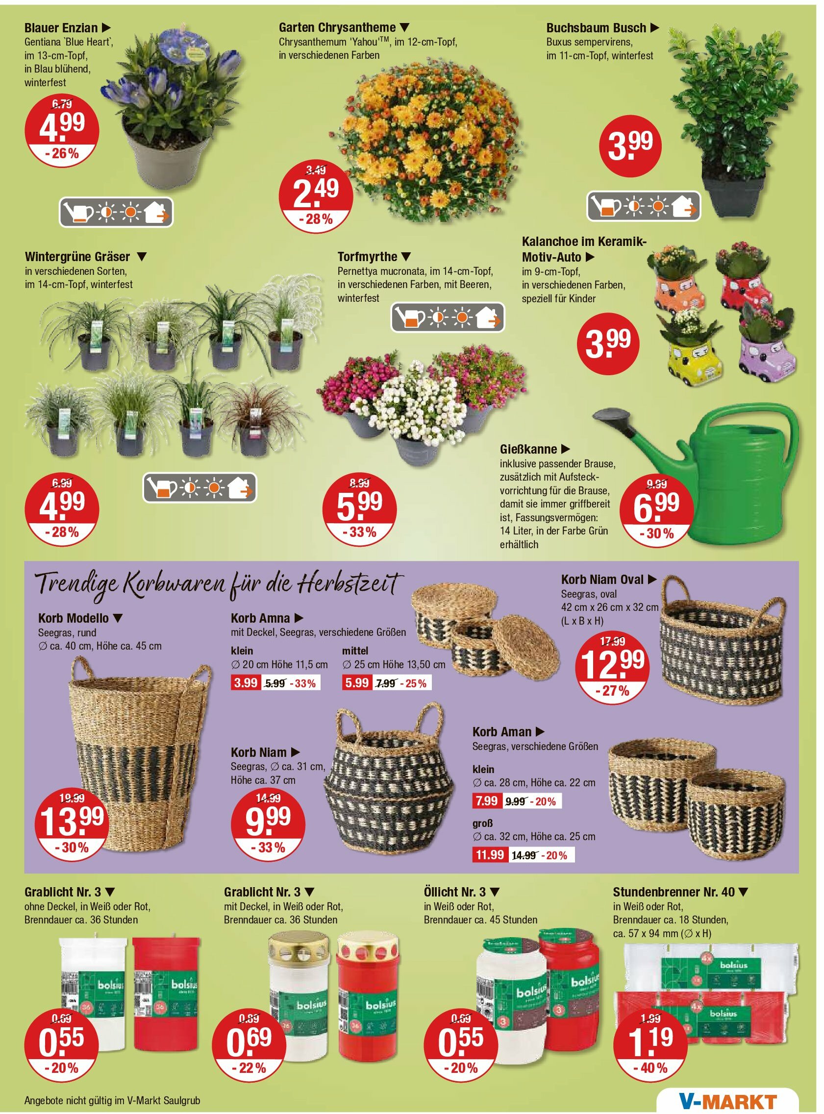 vmarkt - V-Markt - Schwaben / Oberbayern-Prospekt gültig vom 28.08. bis 03.09. - page: 13