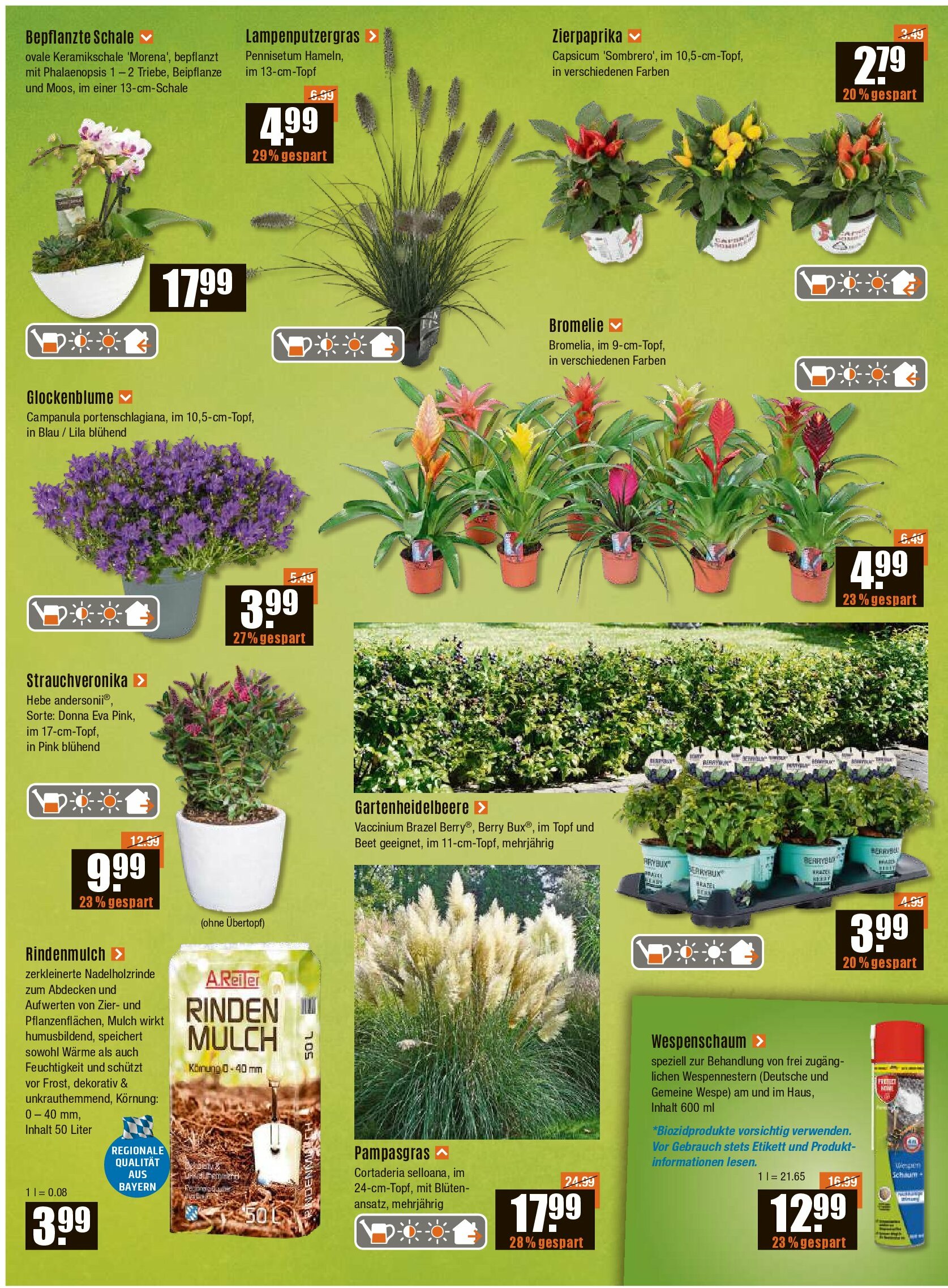 vmarkt - V-Baumarkt - Schwaben / Oberbayern-Prospekt gültig vom 04.09. bis 10.09. - page: 2