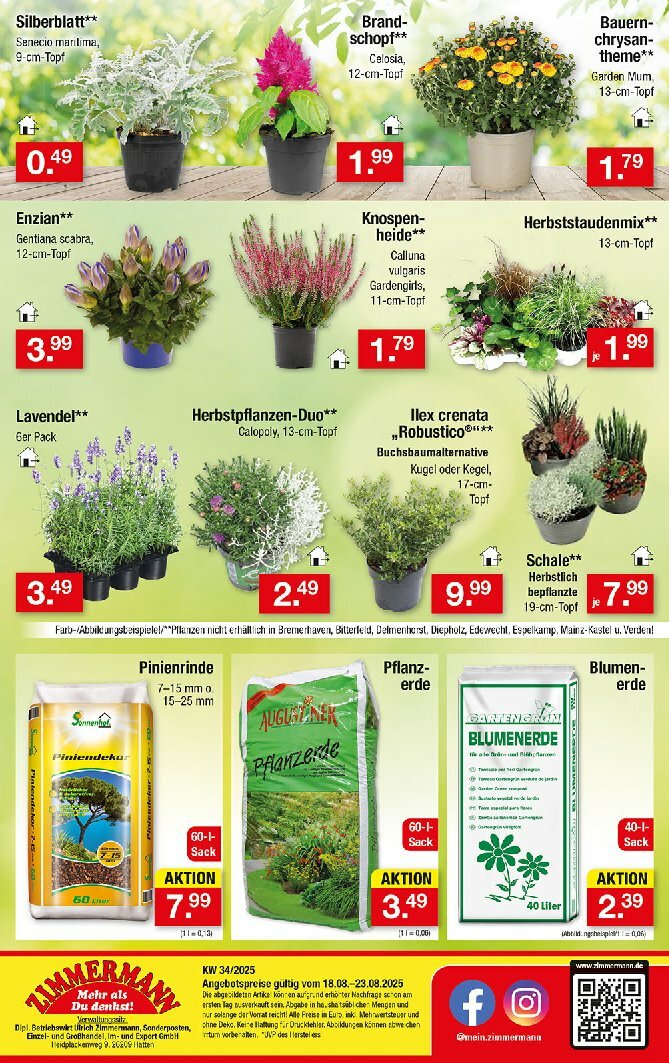 zimmermann - Zimmermann-Prospekt gültig vom 18.08. bis 23.08. - page: 10