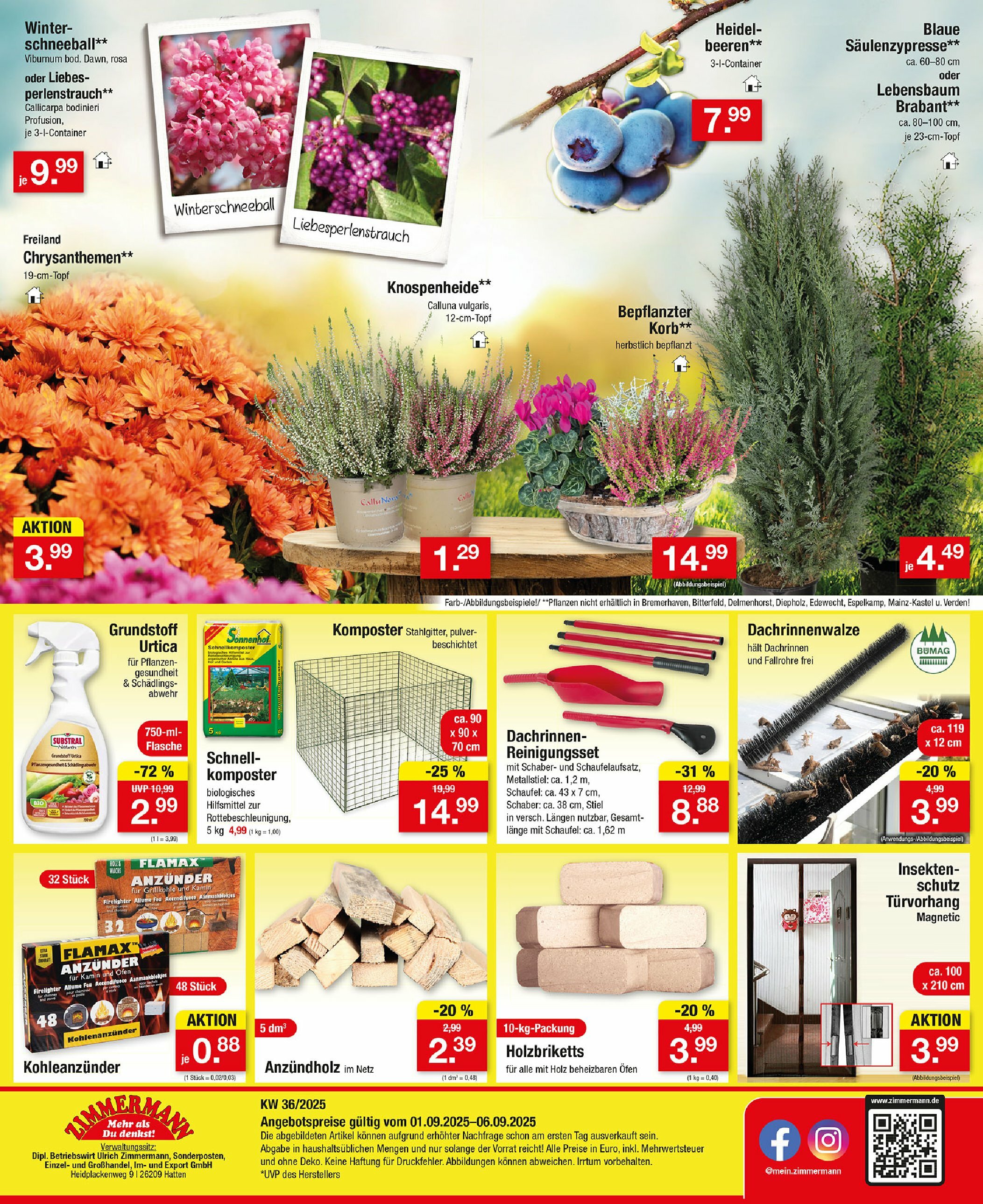 zimmermann - Zimmermann-Prospekt gültig vom 01.09. bis 06.09. - page: 12