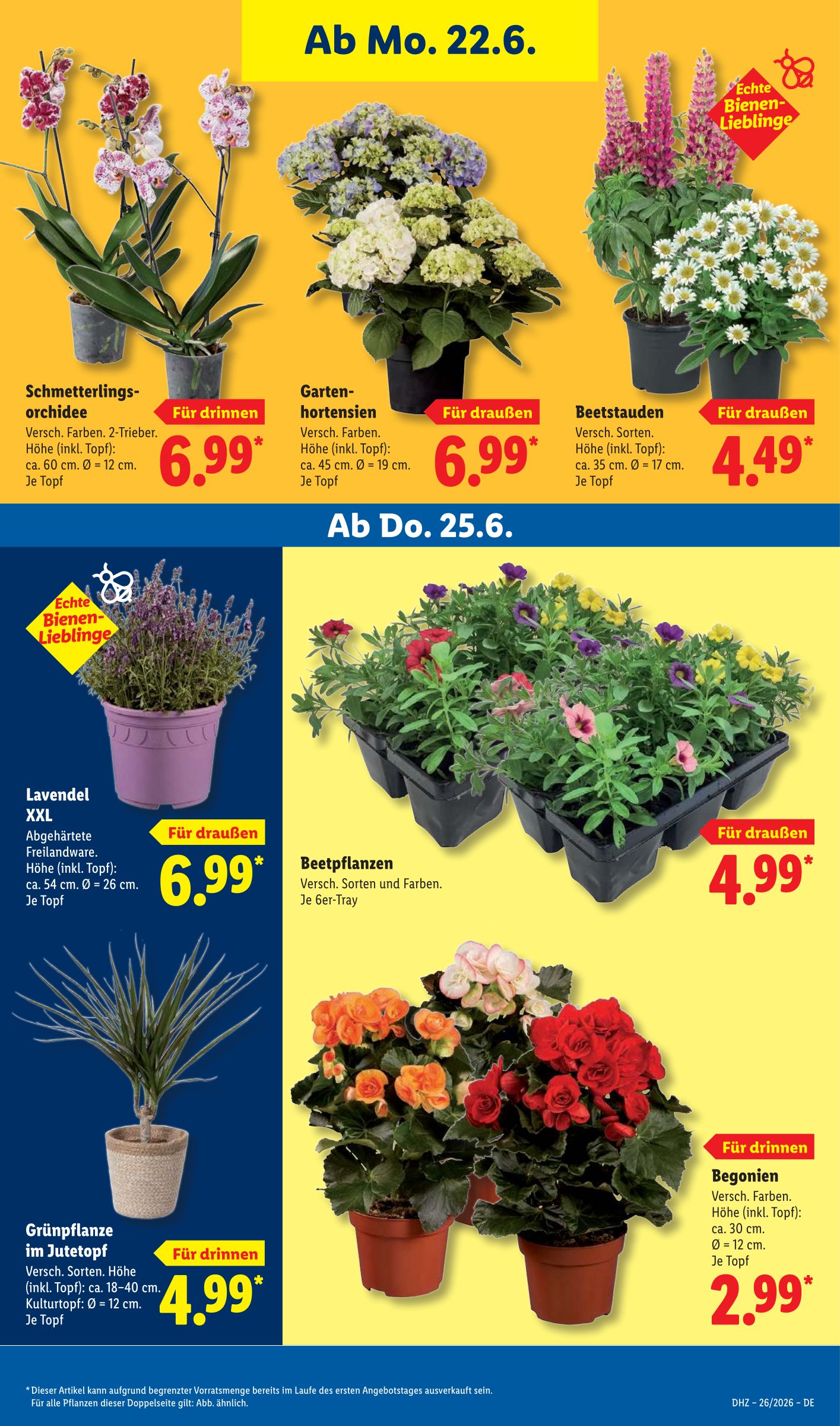 lidl - Lidl Prospekt nächste Woche – von Montag 22.06.2026 bis Samstag 27.06.2026 - page: 69