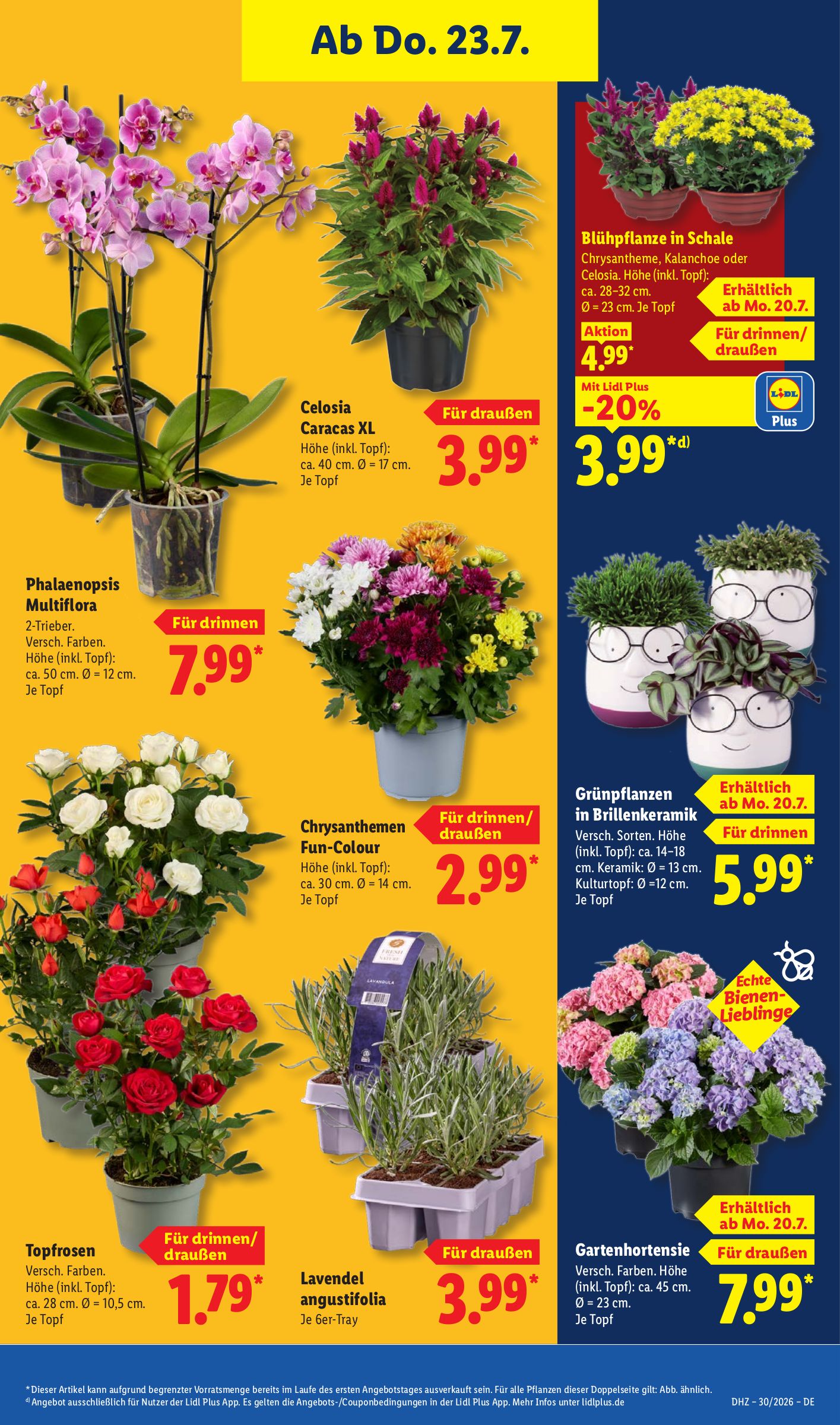 lidl - Lidl Prospekt nächste Woche – von Montag 20.07.2026 bis Samstag 25.07.2026 - page: 29