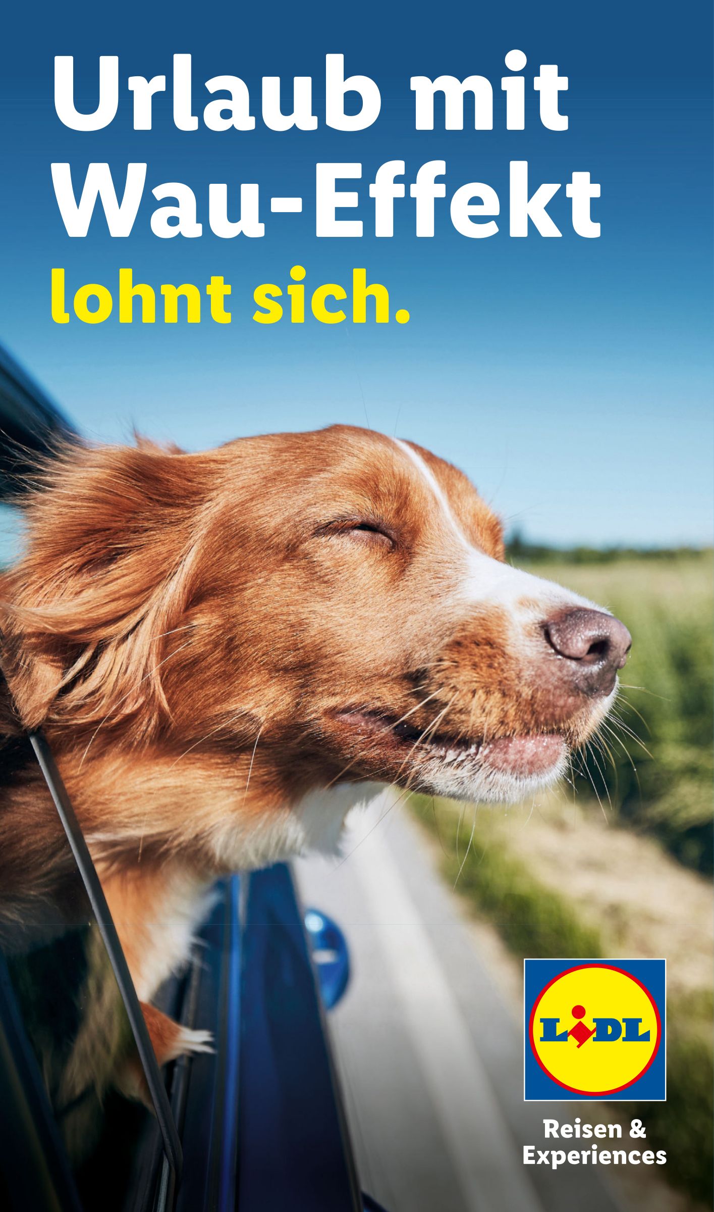 lidl - Lidl - Urlaub mit Wau-Effekt lohnt sich Prospekt – von Mittwoch 29.07.2026 bis Montag 31.08.2026