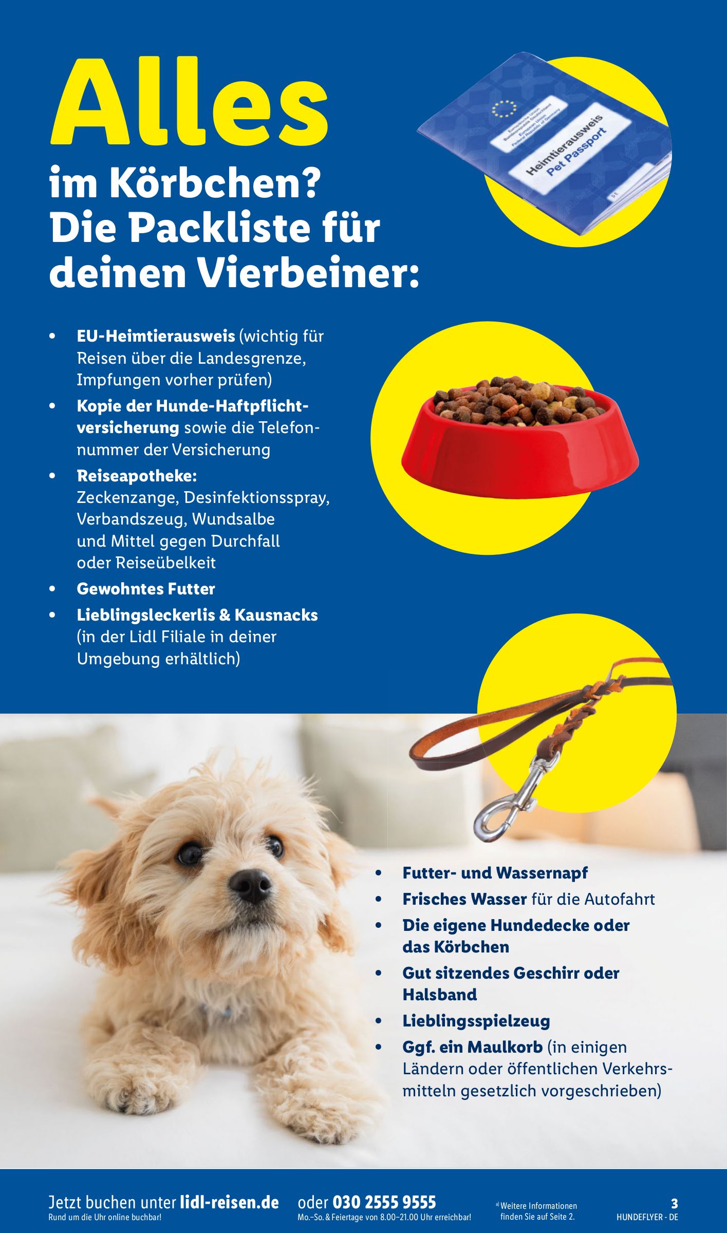 lidl - Lidl - Urlaub mit Wau-Effekt lohnt sich Prospekt – von Mittwoch 29.07.2026 bis Montag 31.08.2026 - page: 3