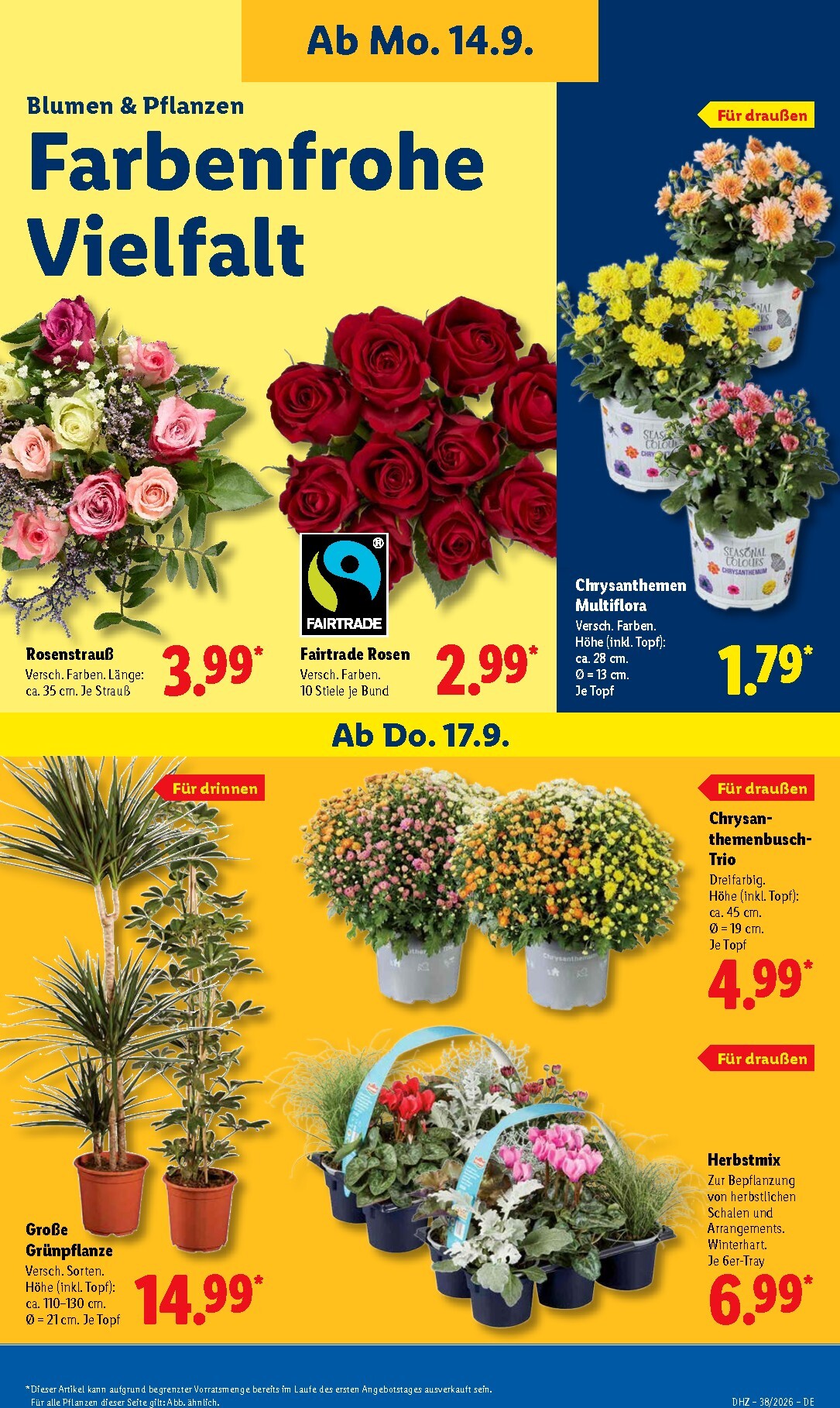 lidl - Lidl Prospekt nächste Woche – von Montag 14.09.2026 bis Samstag 19.09.2026 - page: 23