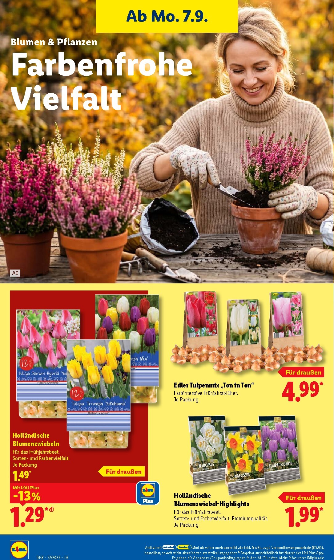 lidl - Lidl Prospekt – von Montag 07.09.2026 bis Samstag 12.09.2026 - page: 26