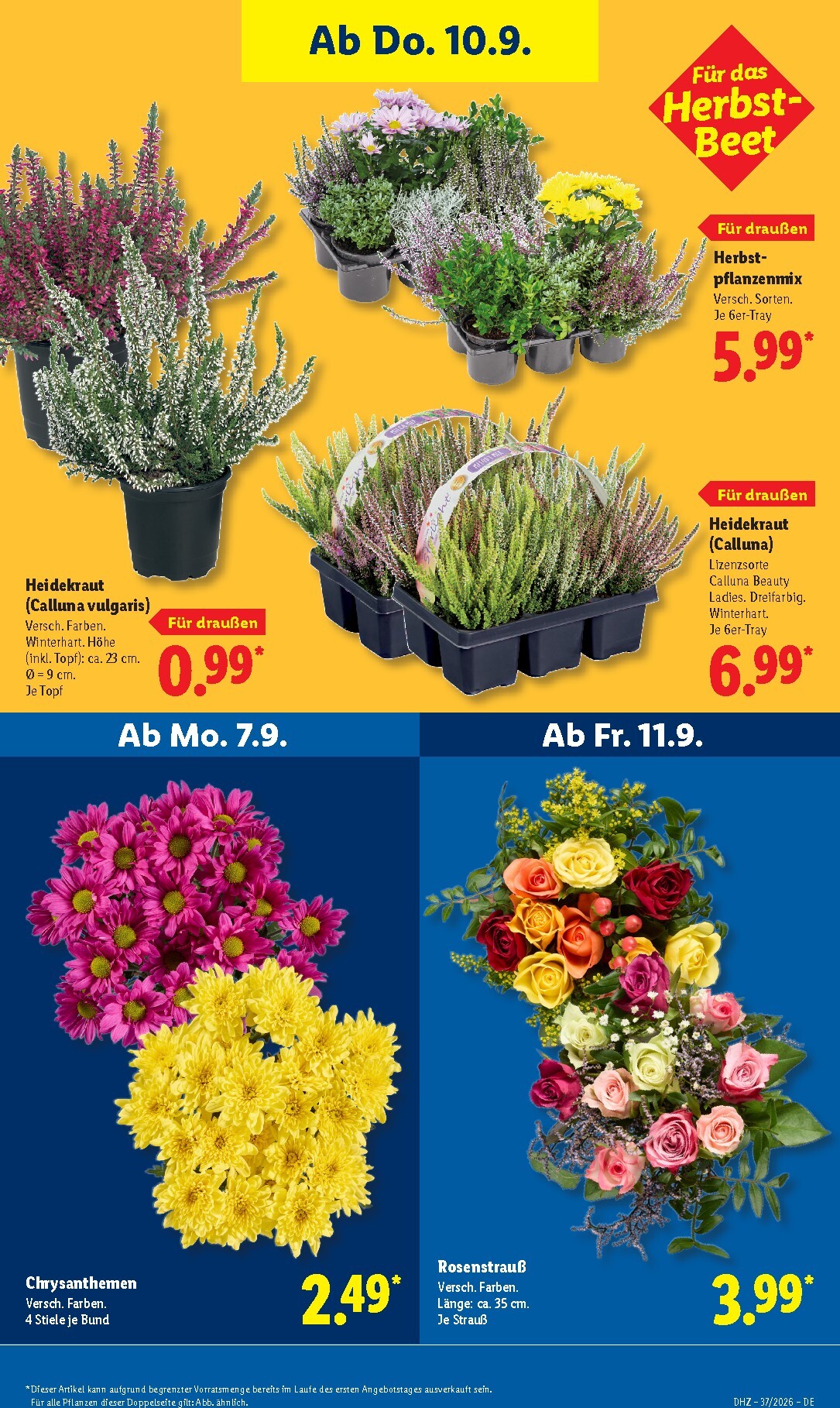 lidl - Lidl Prospekt – von Montag 07.09.2026 bis Samstag 12.09.2026 - page: 27