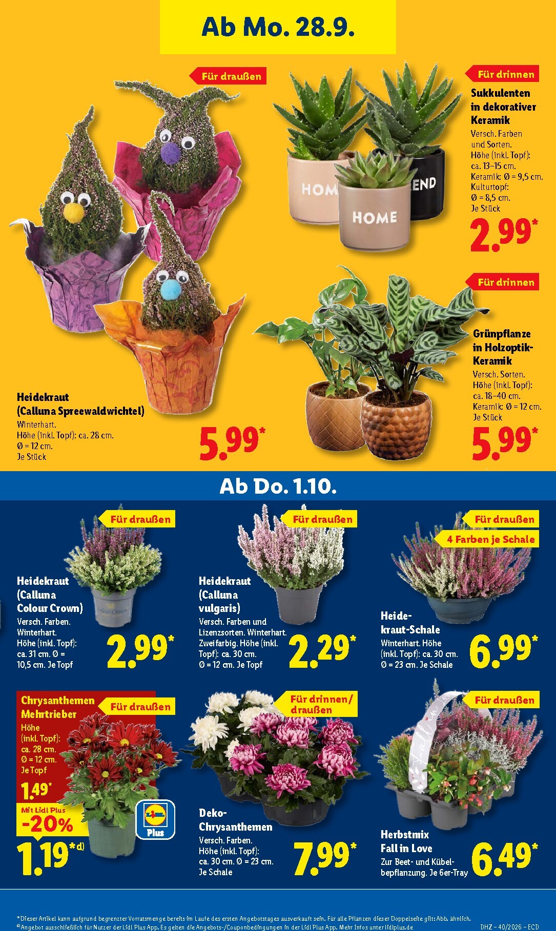 lidl - Lidl Prospekt – von Montag 28.09.2026 bis Freitag 02.10.2026 - page: 27