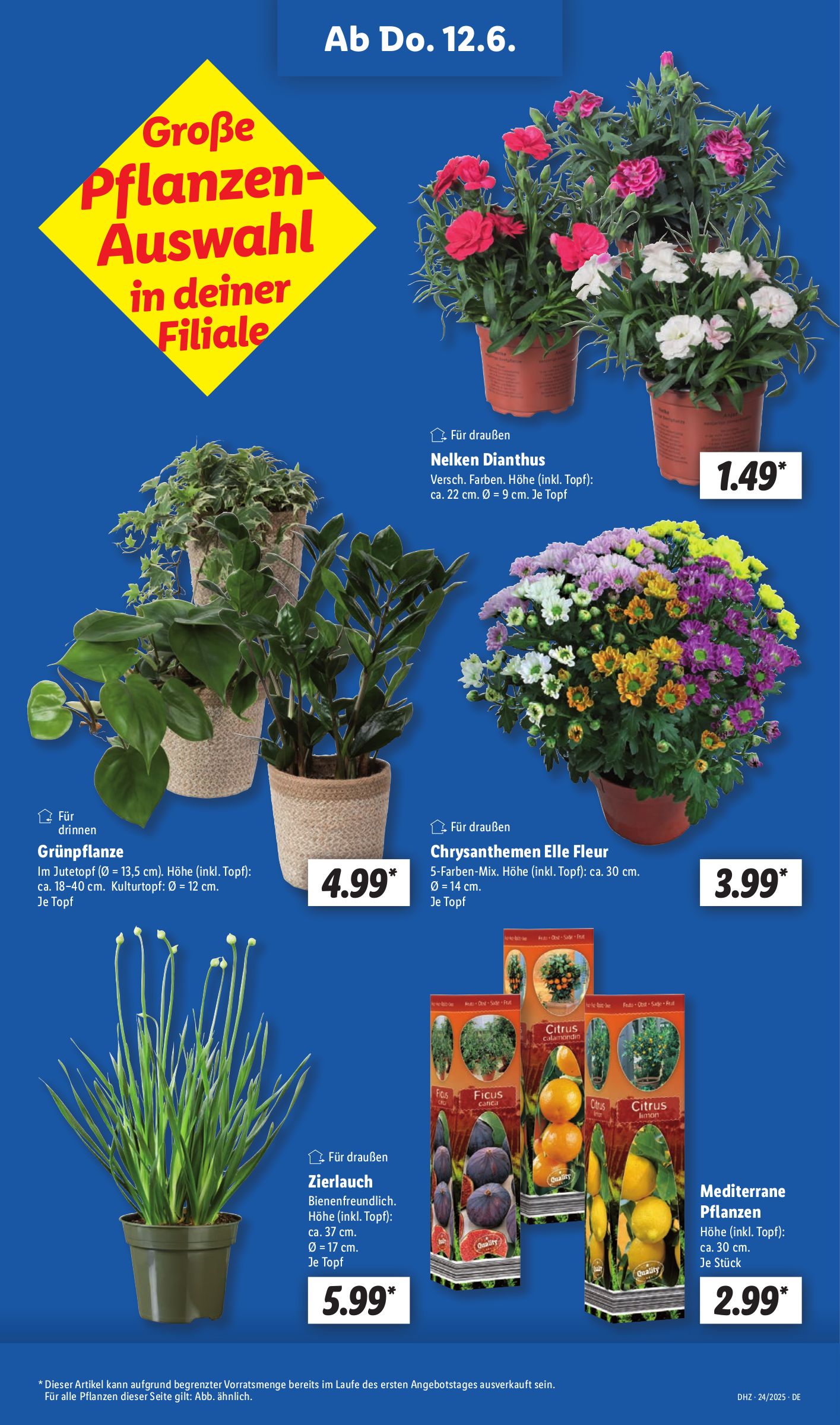 lidl - Lidl-Prospekt gültig von 10.06. bis 14.06. - page: 9