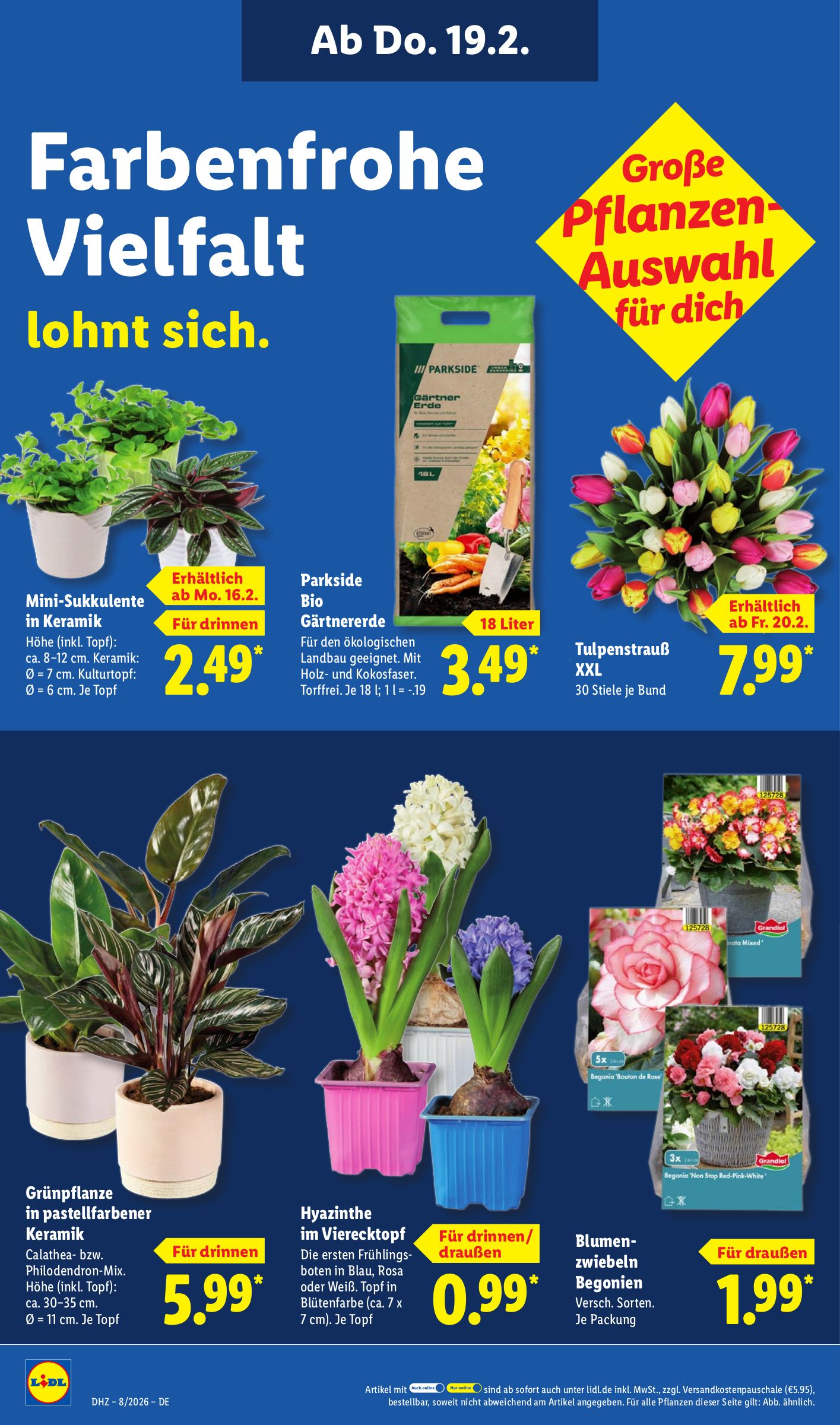 lidl - Lidl-Prospekt gültig vom 16.02.2026 bis 21.02.2026 - page: 26