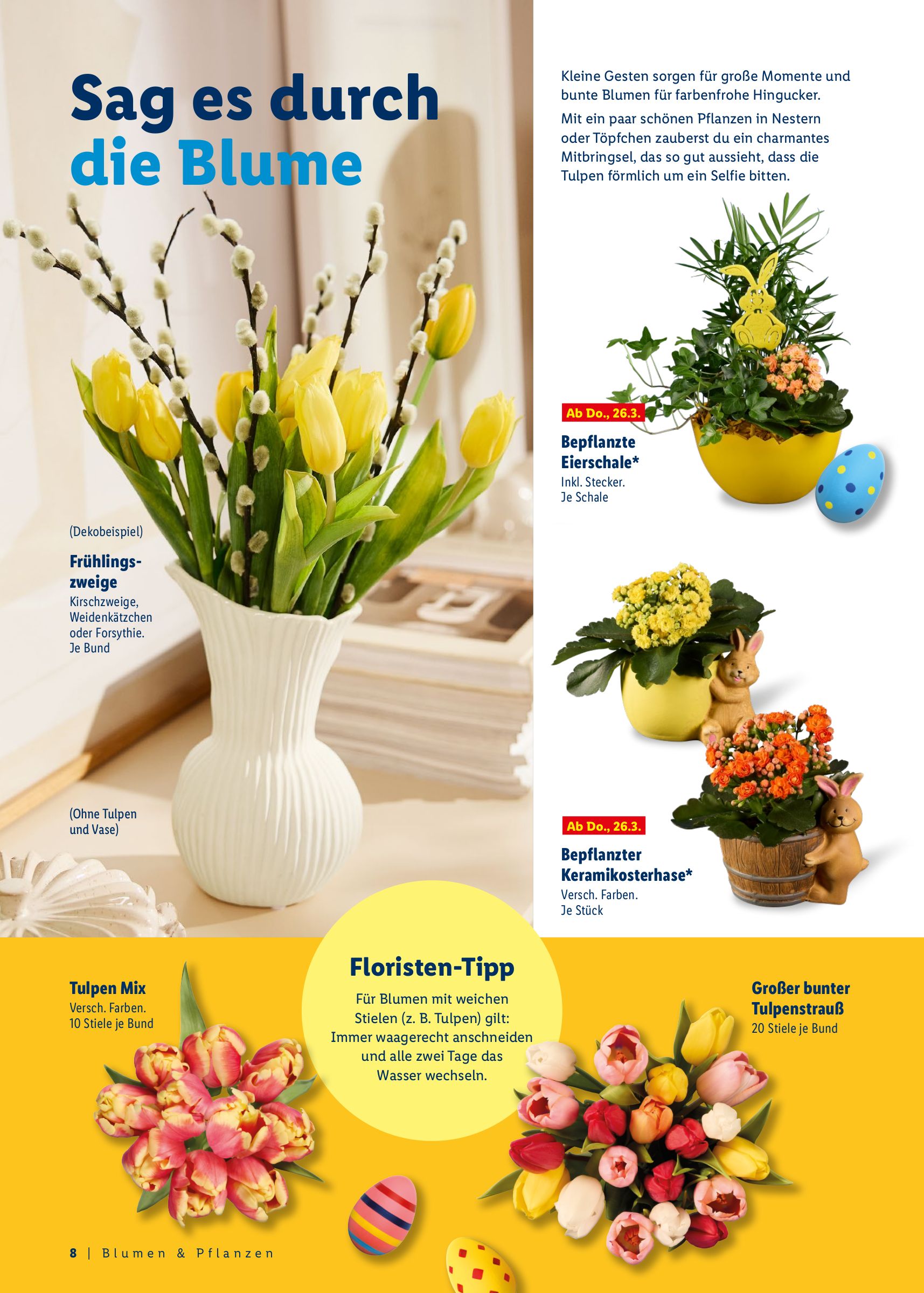 lidl - Lidl - Ostermagazin-Prospekt gültig vom 09.03.2026 bis 06.04.2026 - page: 8
