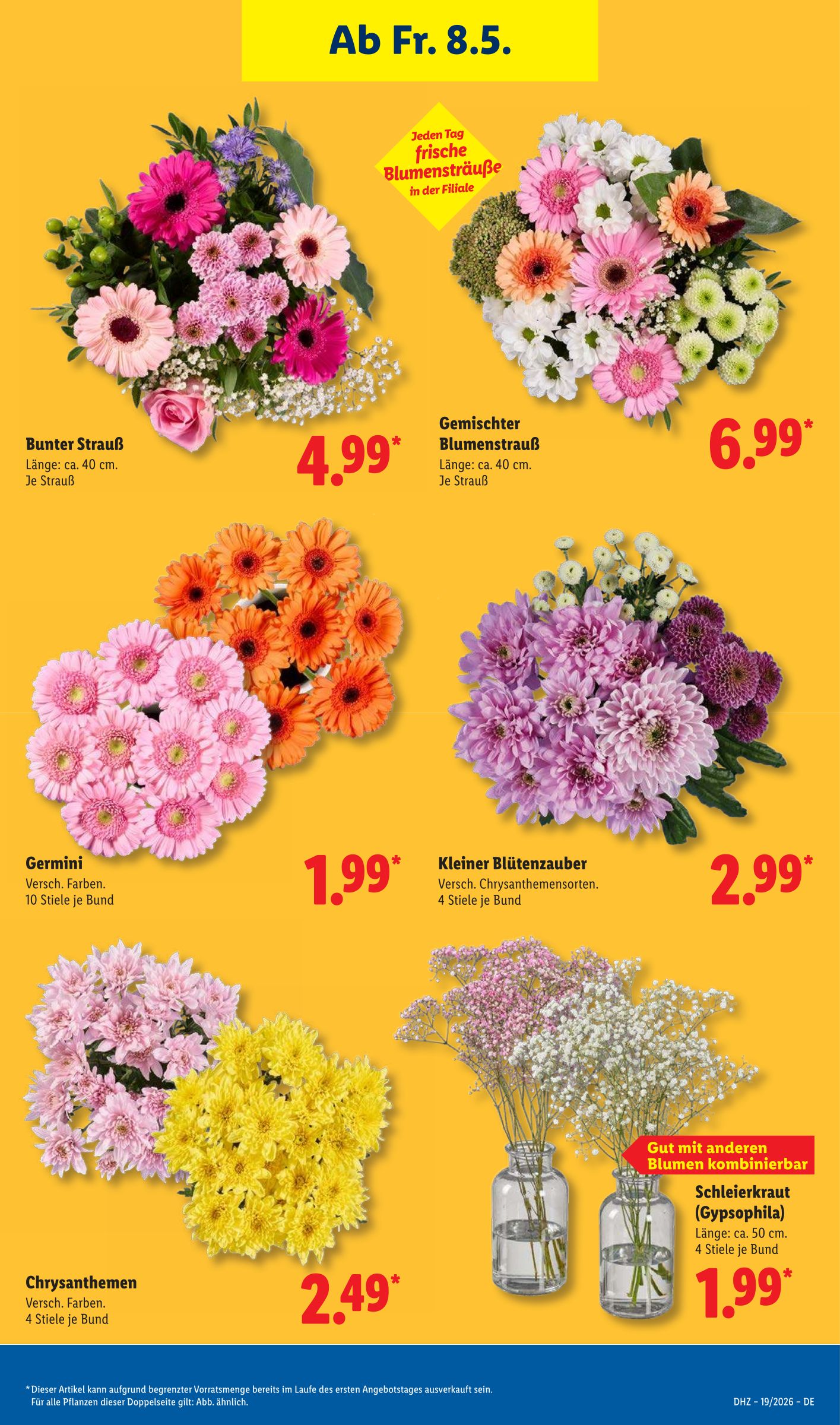 lidl - Lidl Prospekt nächste Woche – von Montag 04.05.2026 bis Samstag 09.05.2026 - page: 13