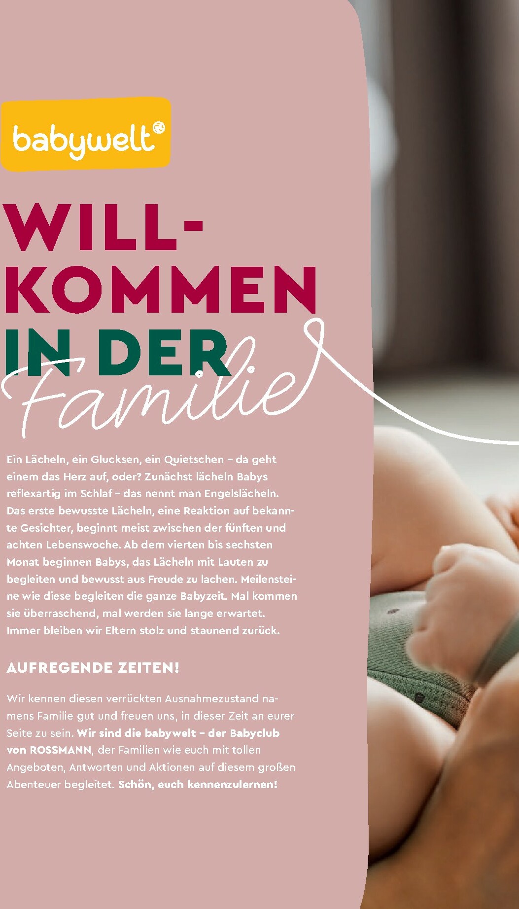 rossmann - ROSSMANN - Babywelt-Prospekt gültig vom 01.02. bis 28.02. - page: 4