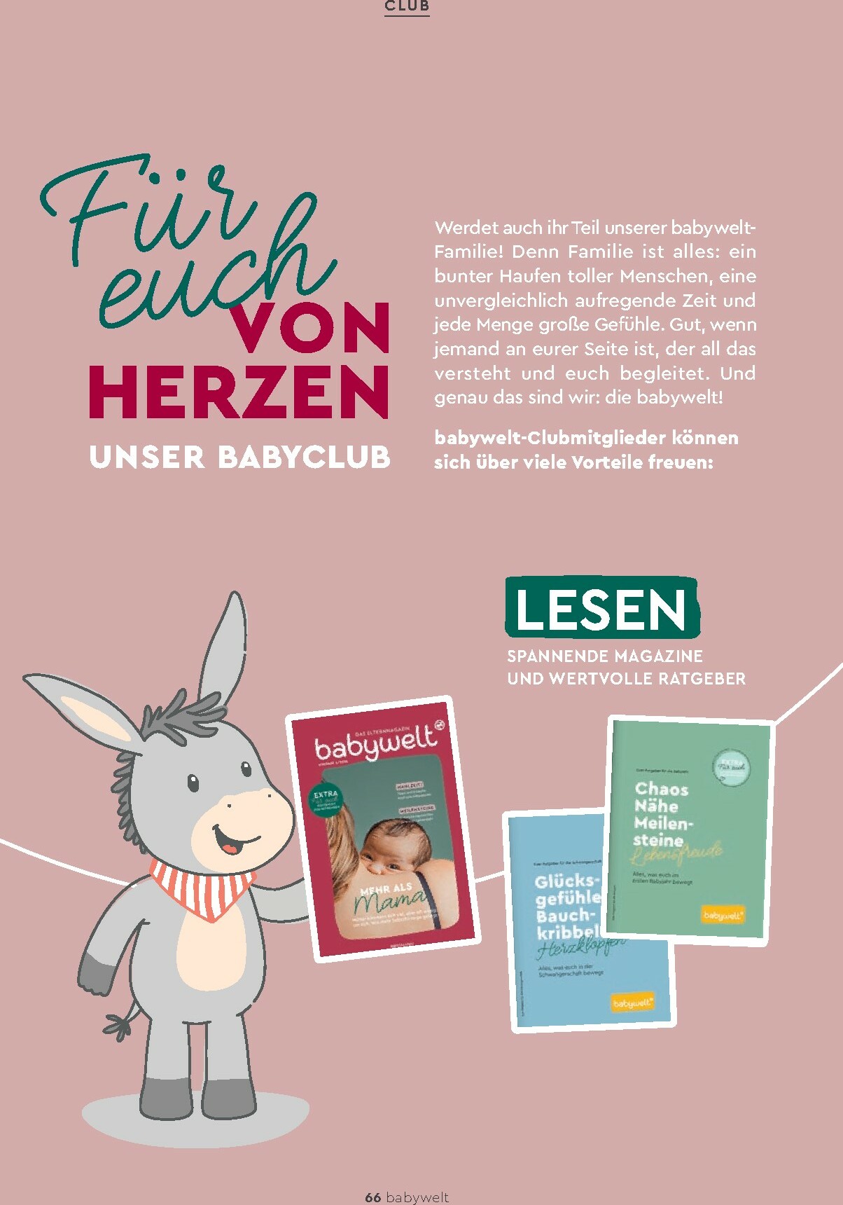rossmann - ROSSMANN - Babywelt-Prospekt gültig vom 01.02. bis 28.02. - page: 66