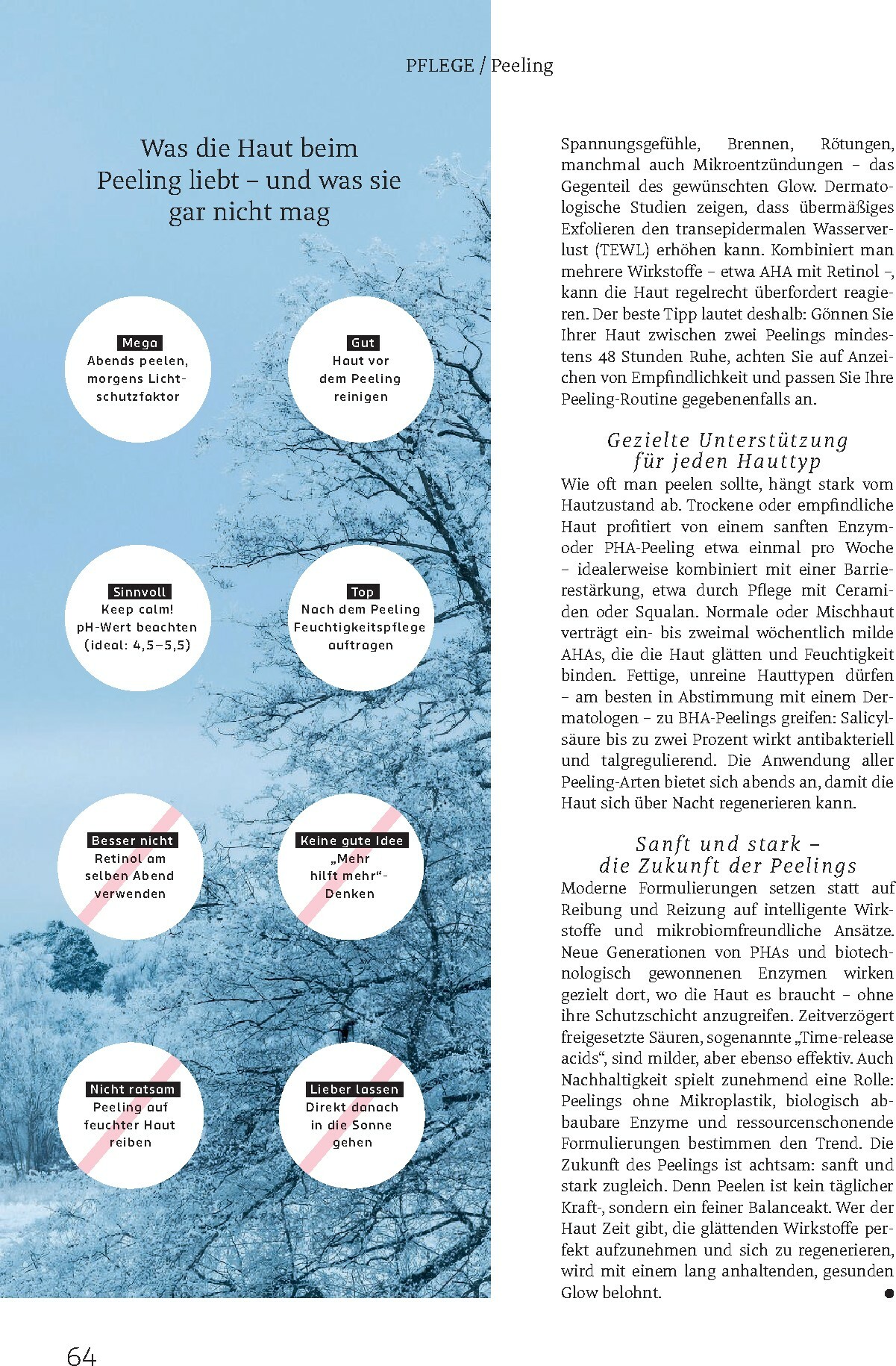 rossmann - ROSSMANN - Centaur-Prospekt gültig vom 01.01. bis 31.01. - page: 64