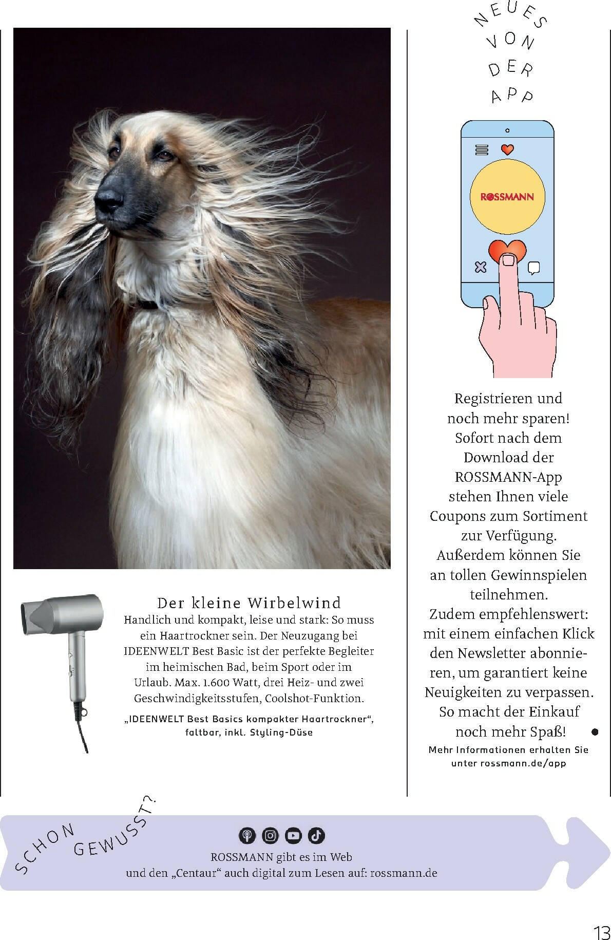 rossmann - ROSSMANN - Centaur-Prospekt gültig vom 01.01. bis 31.01. - page: 13