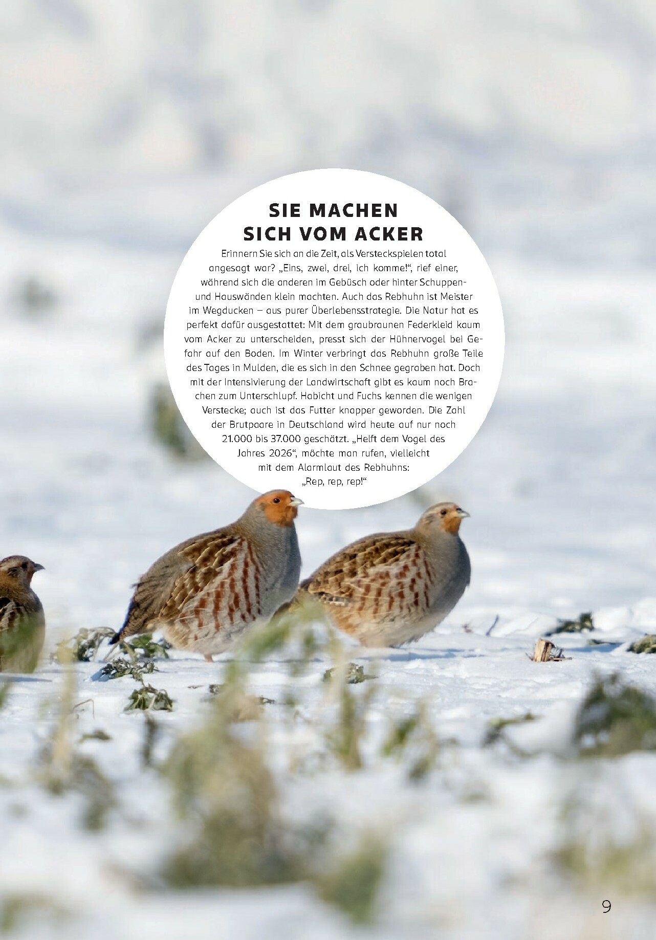 rossmann - ROSSMANN - Centaur-Prospekt gültig vom 01.01. bis 31.01. - page: 9