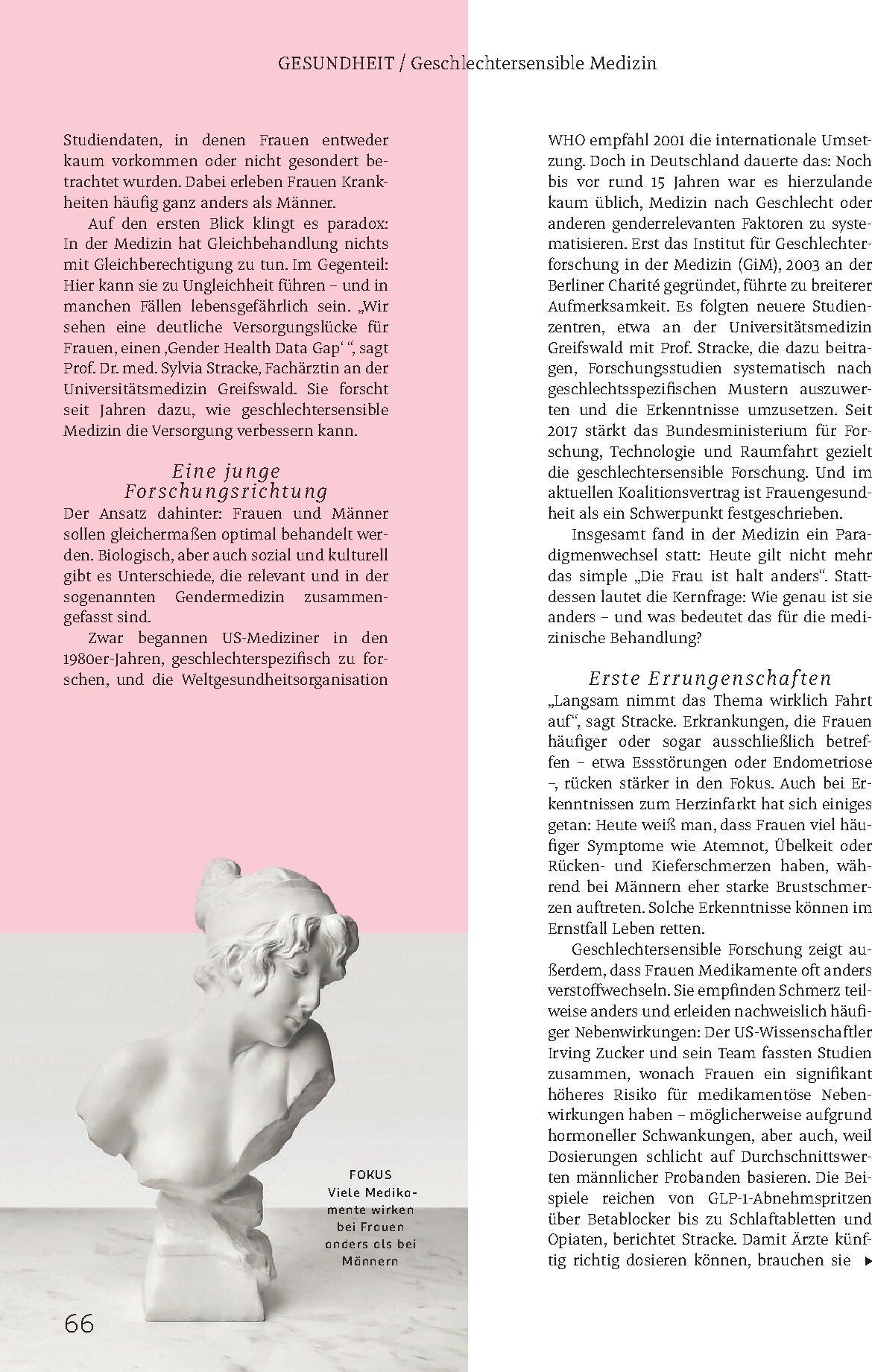 rossmann - ROSSMANN - Centaur-Prospekt gültig vom 01.02.2026 bis 28.02.2026 - page: 66