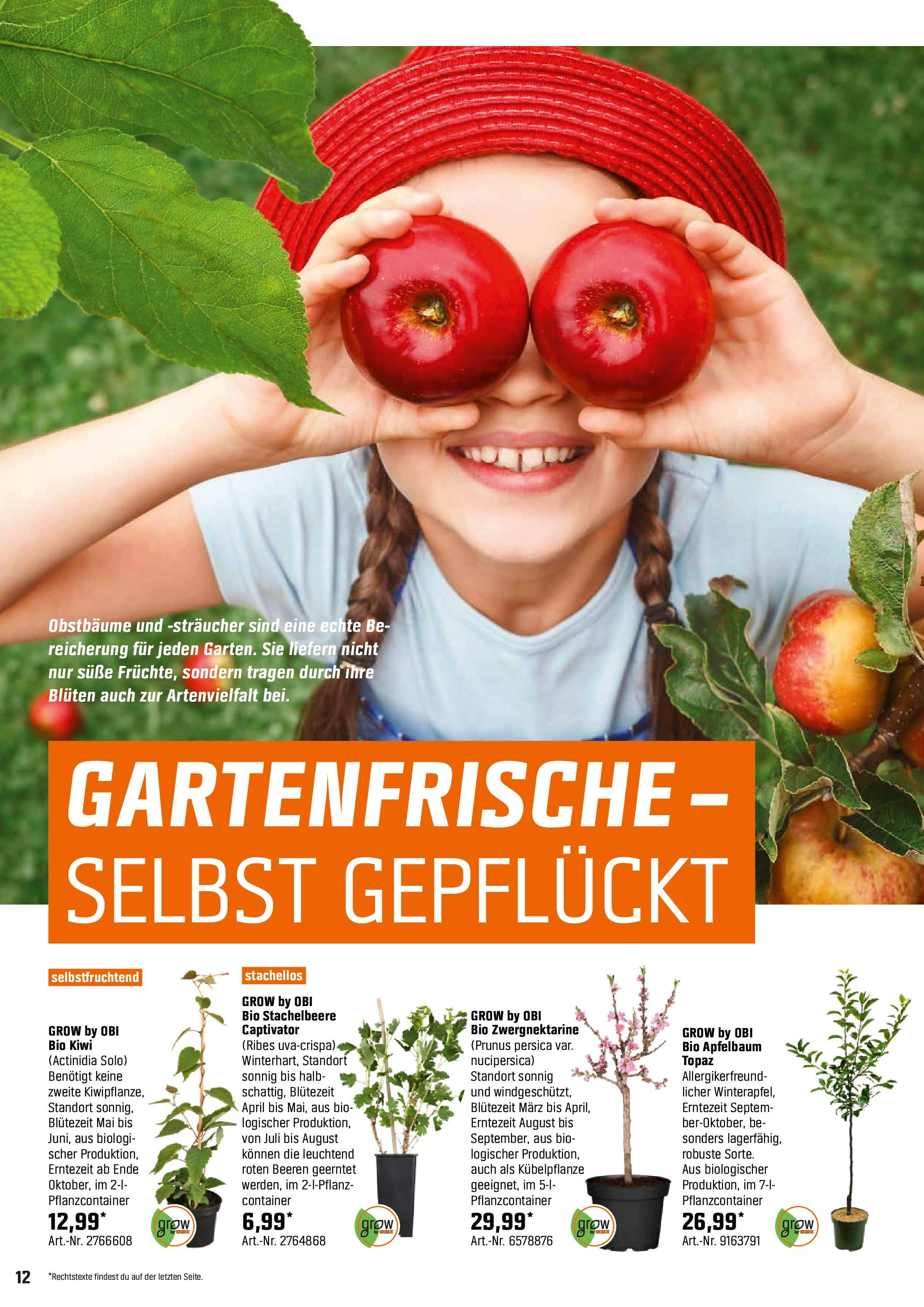 obi - Obi - Pflanz dich glücklich-Prospekt gültig von 06.04. bis 27.04. - page: 12