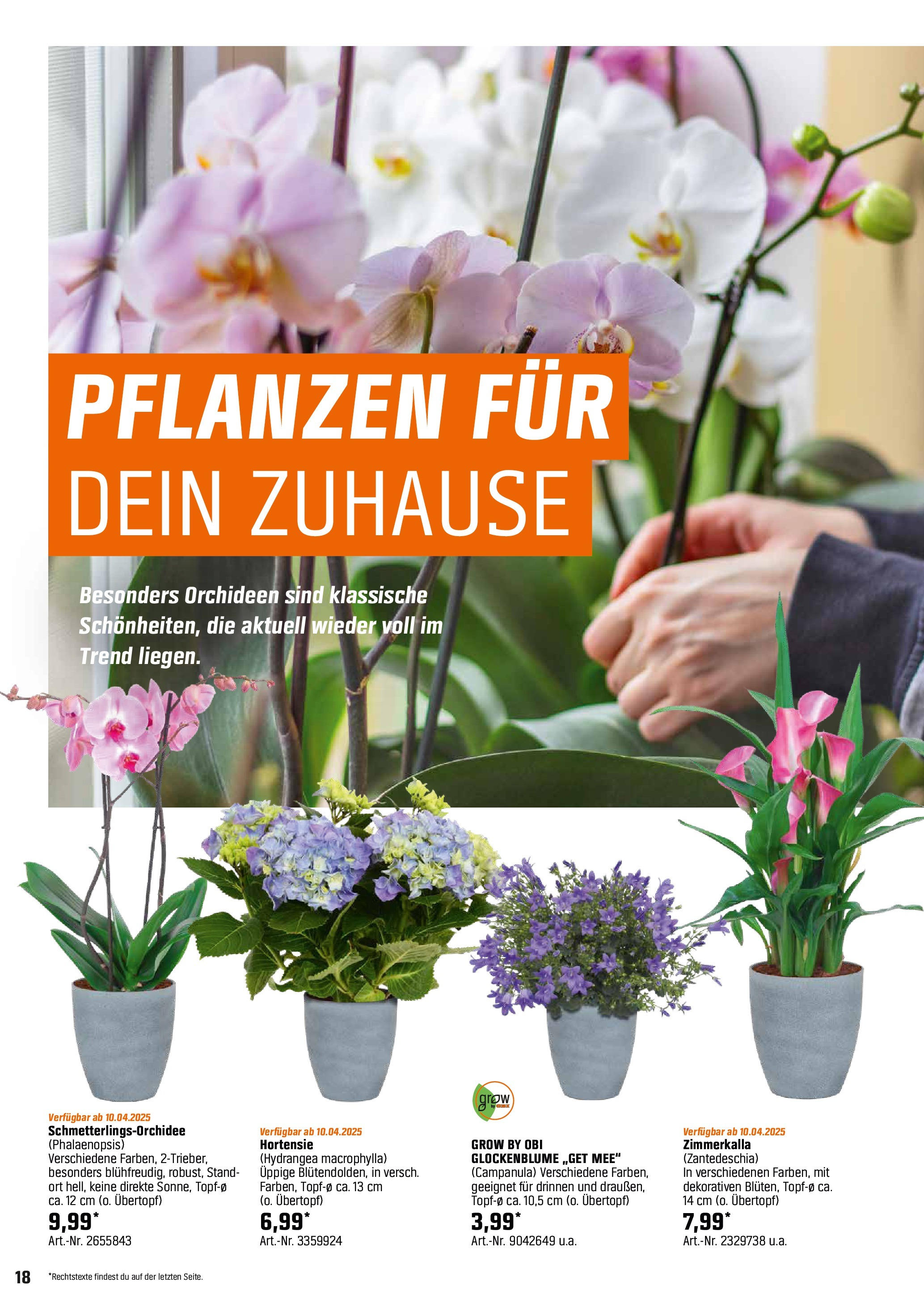 obi - Obi - Pflanz dich glücklich-Prospekt gültig von 06.04. bis 27.04. - page: 18