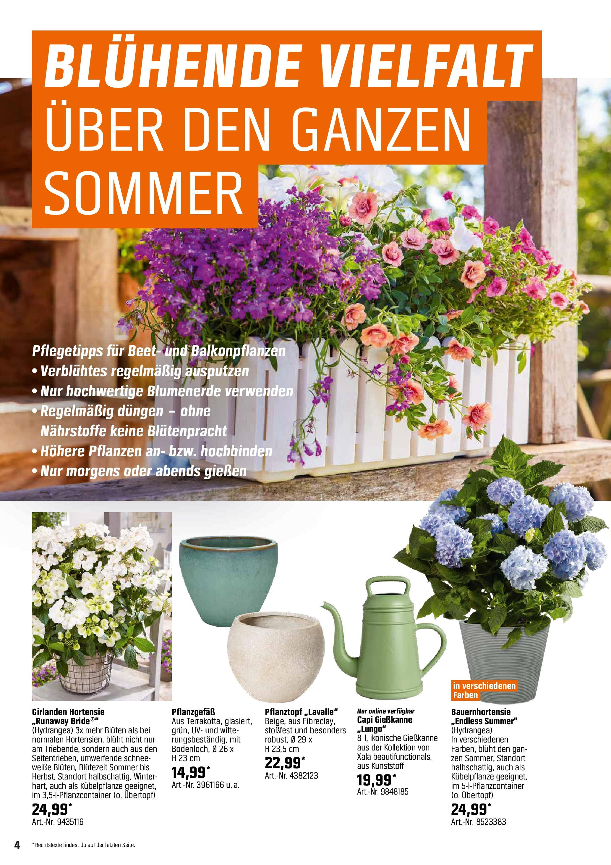 obi - Obi - Bring Farbe in den Garten-Prospekt gültig von 04.05. bis 31.05. - page: 4